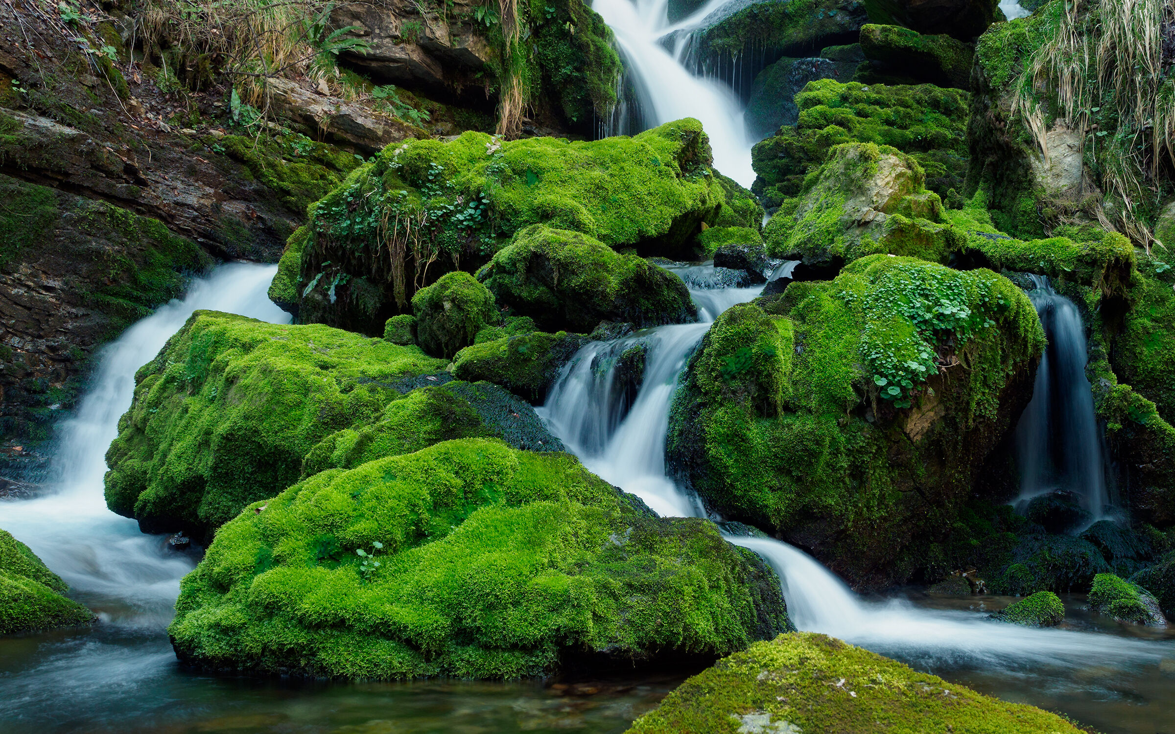 Natura