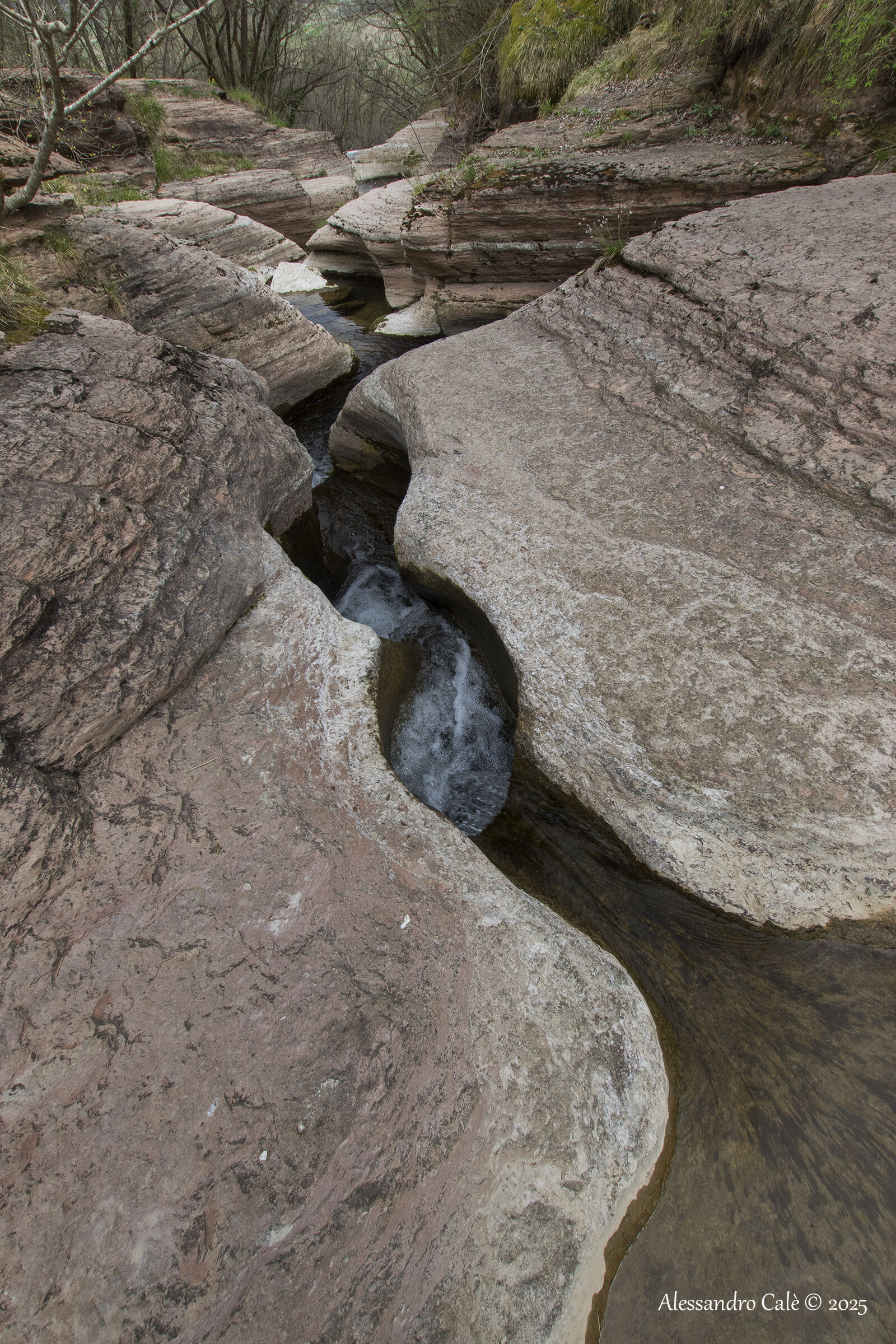 Canyon of the Valle Maggiore stream 1559