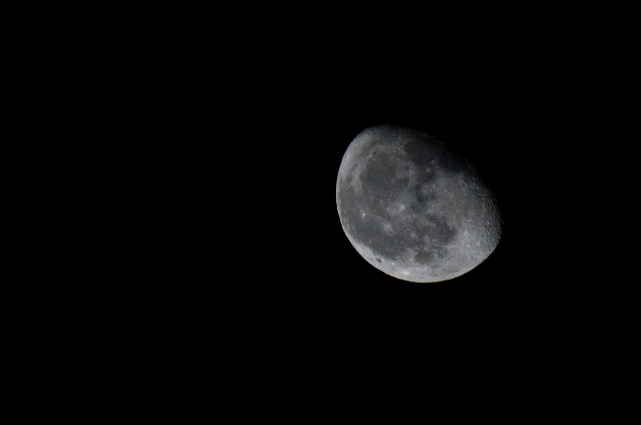 "The Moon is beautiful, isn't it"