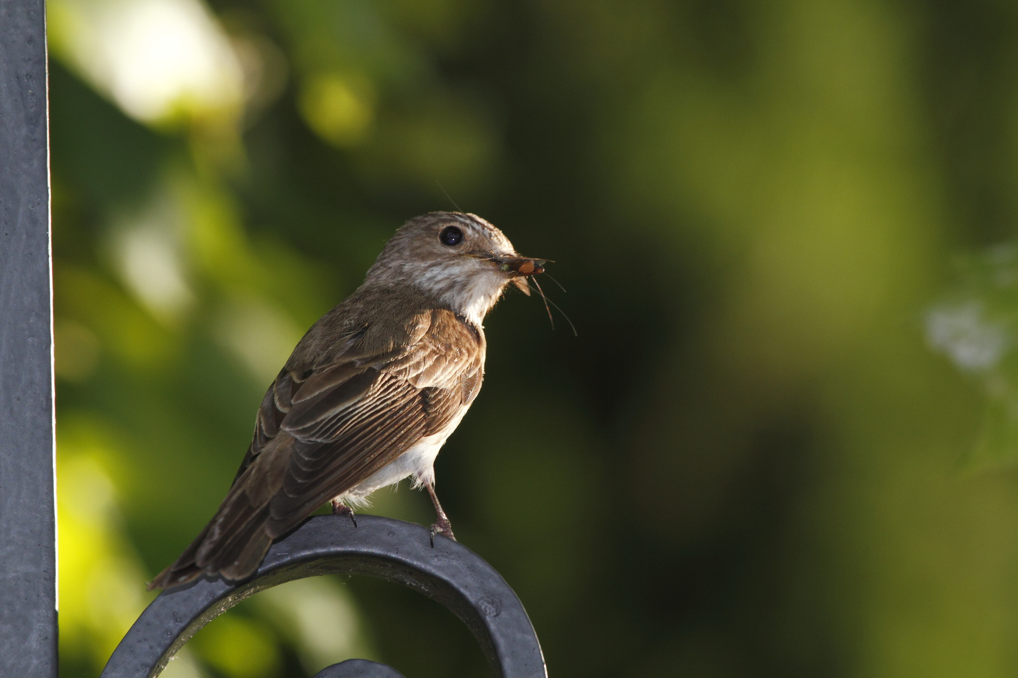 You tell me what it is?