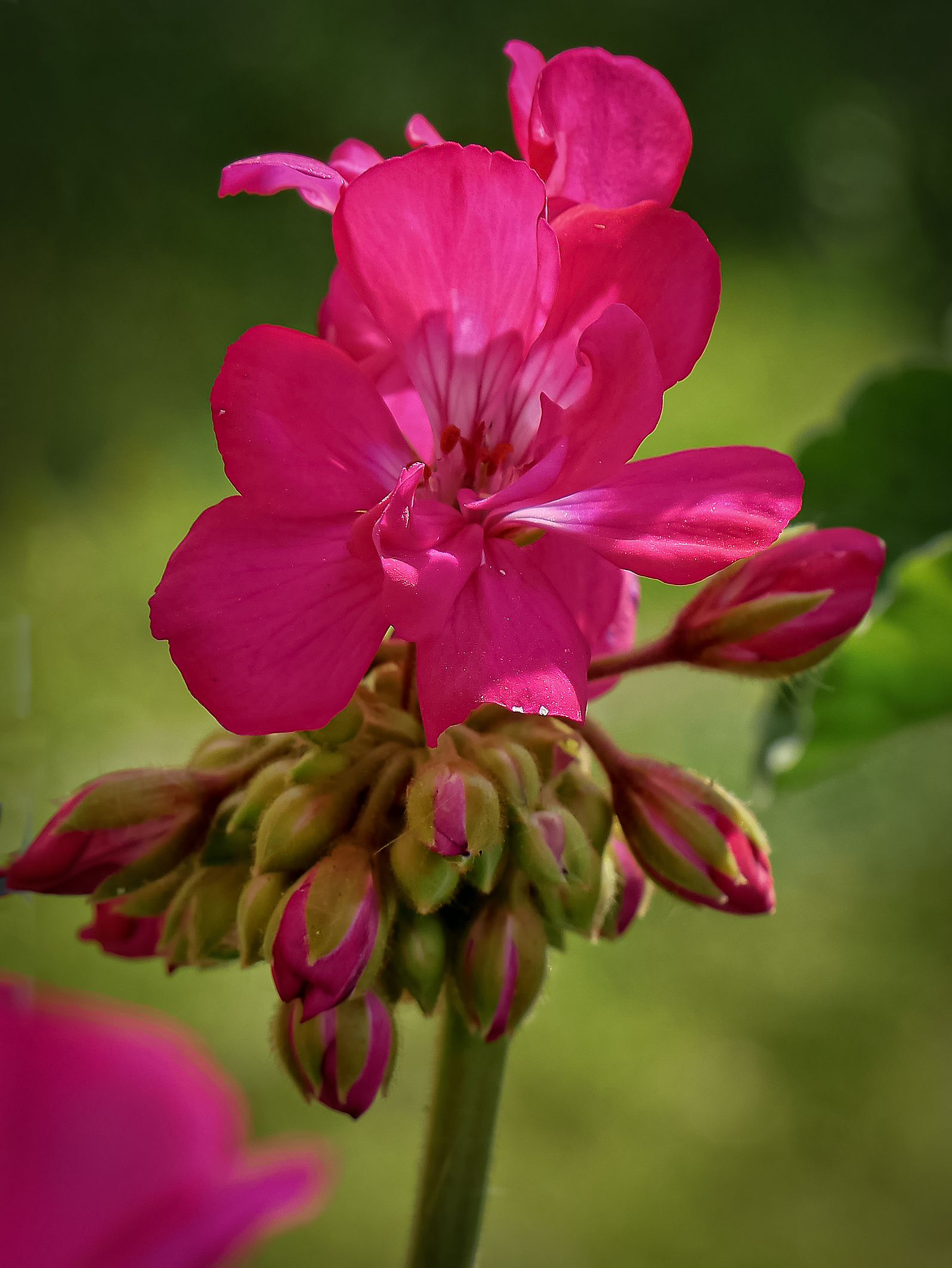 Untitled Photo