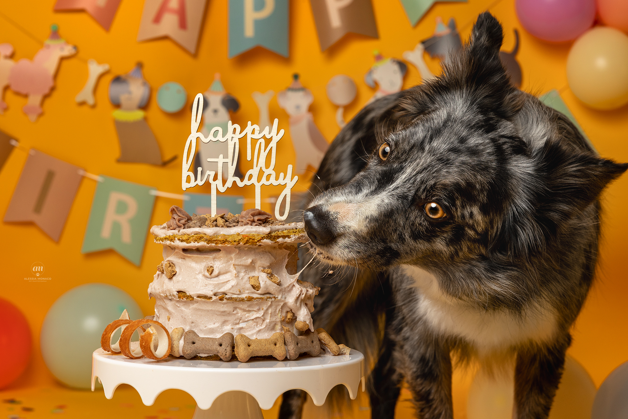 Smash cake