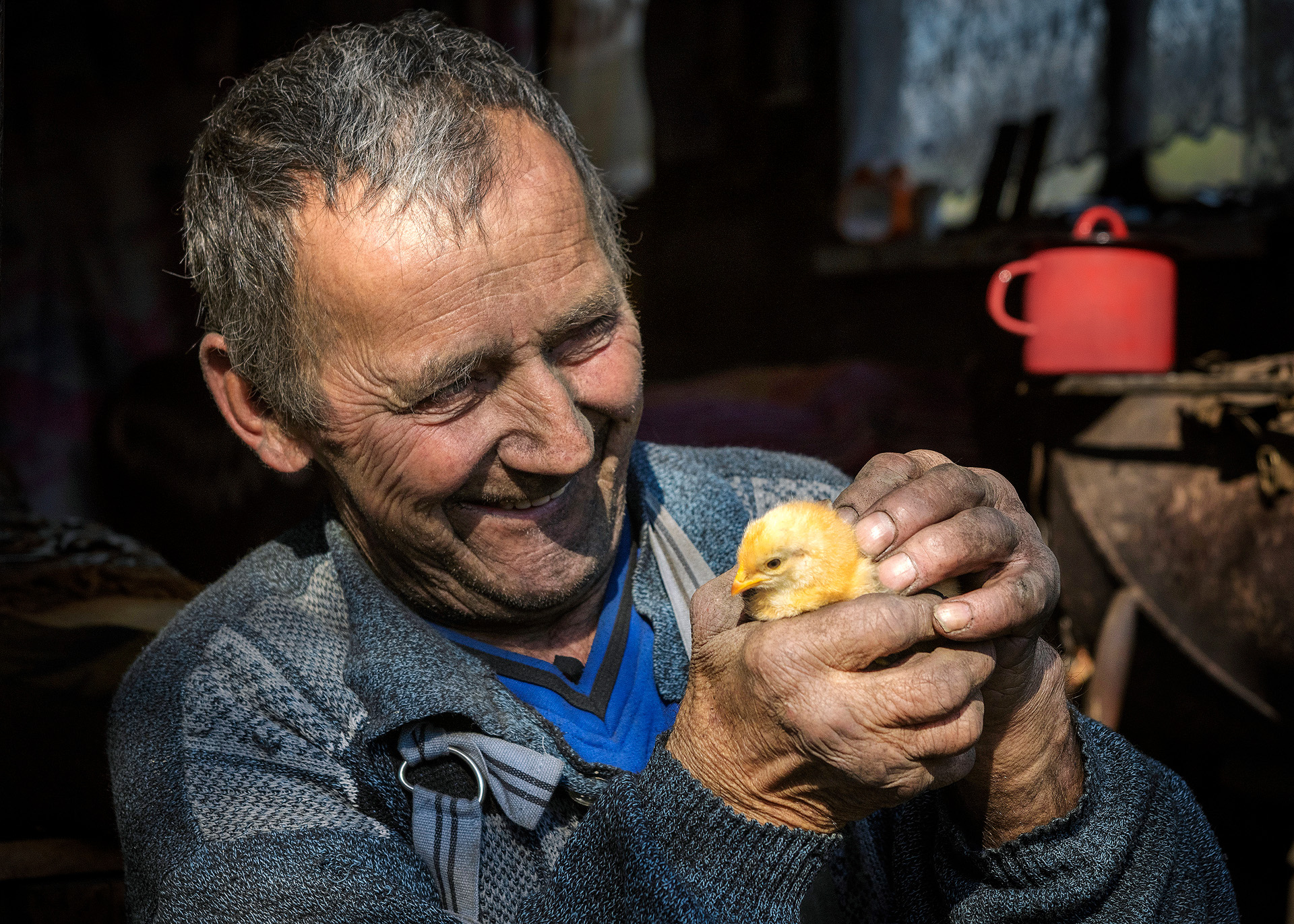 Vecchie mani, nuova vita