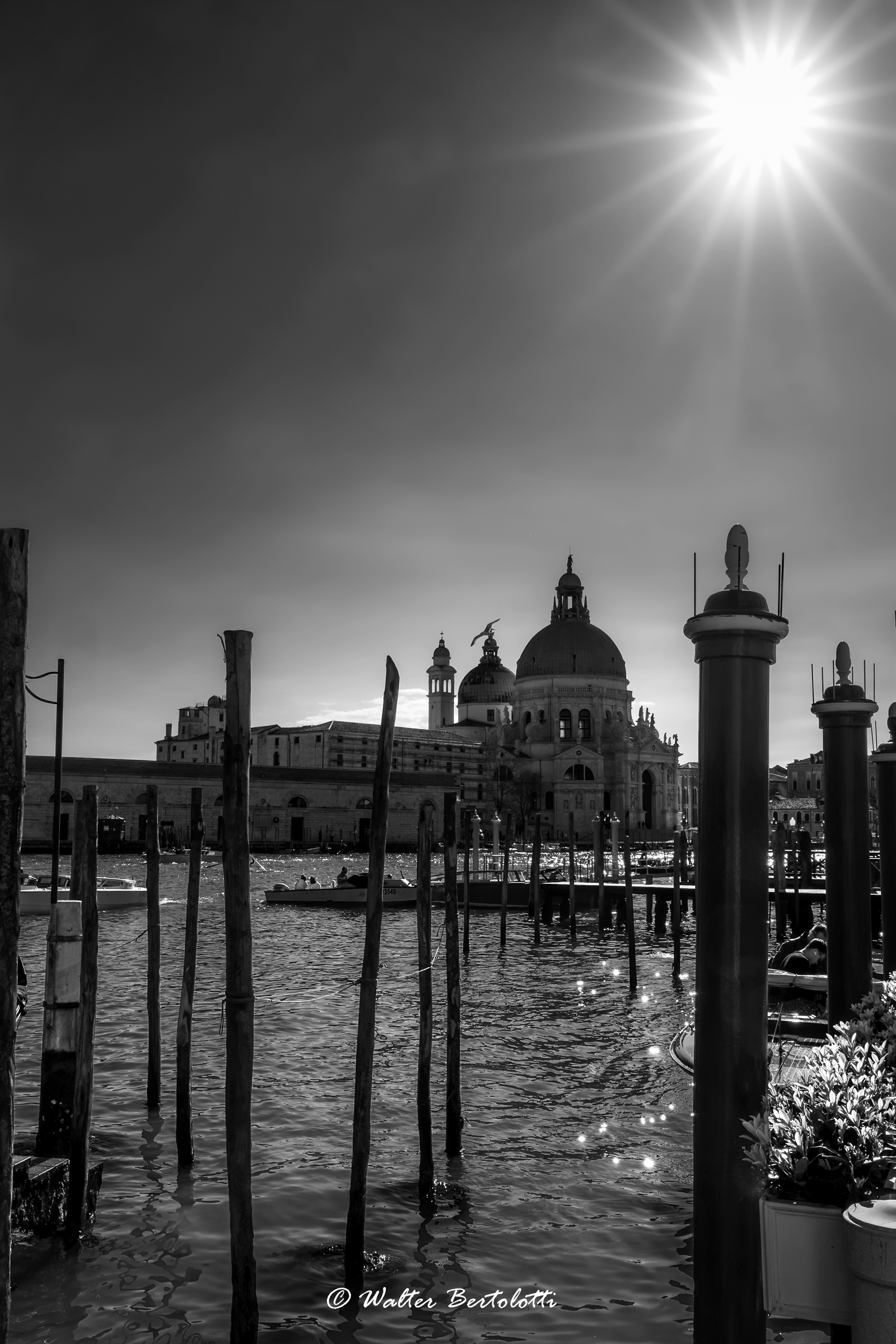 Santa Maria della Salute