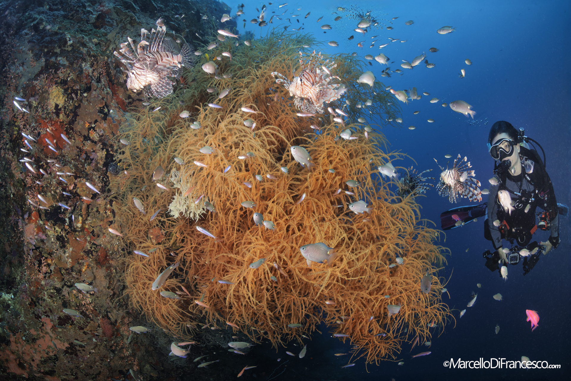 Kimod Shoal Wall