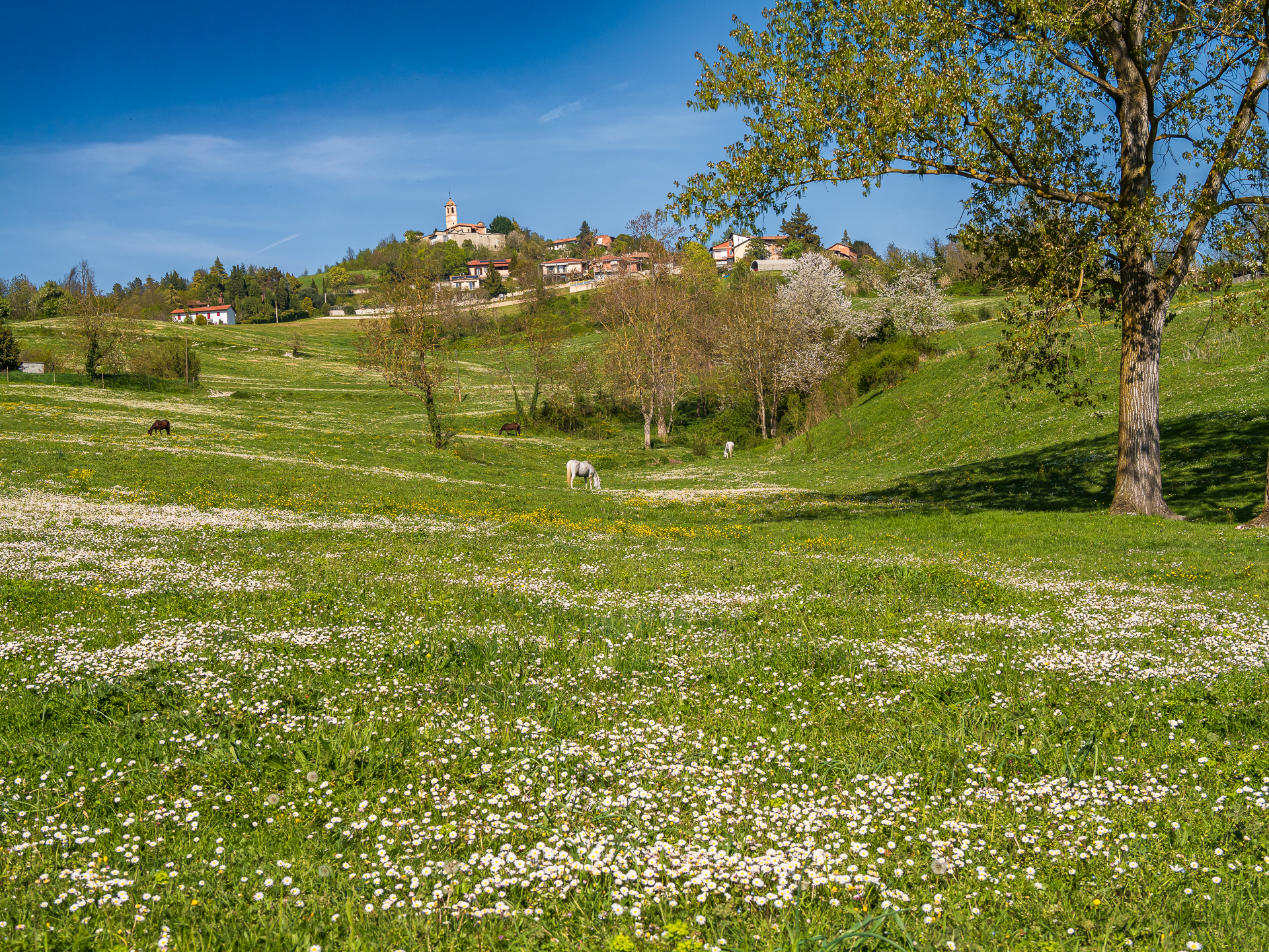Primavera...
