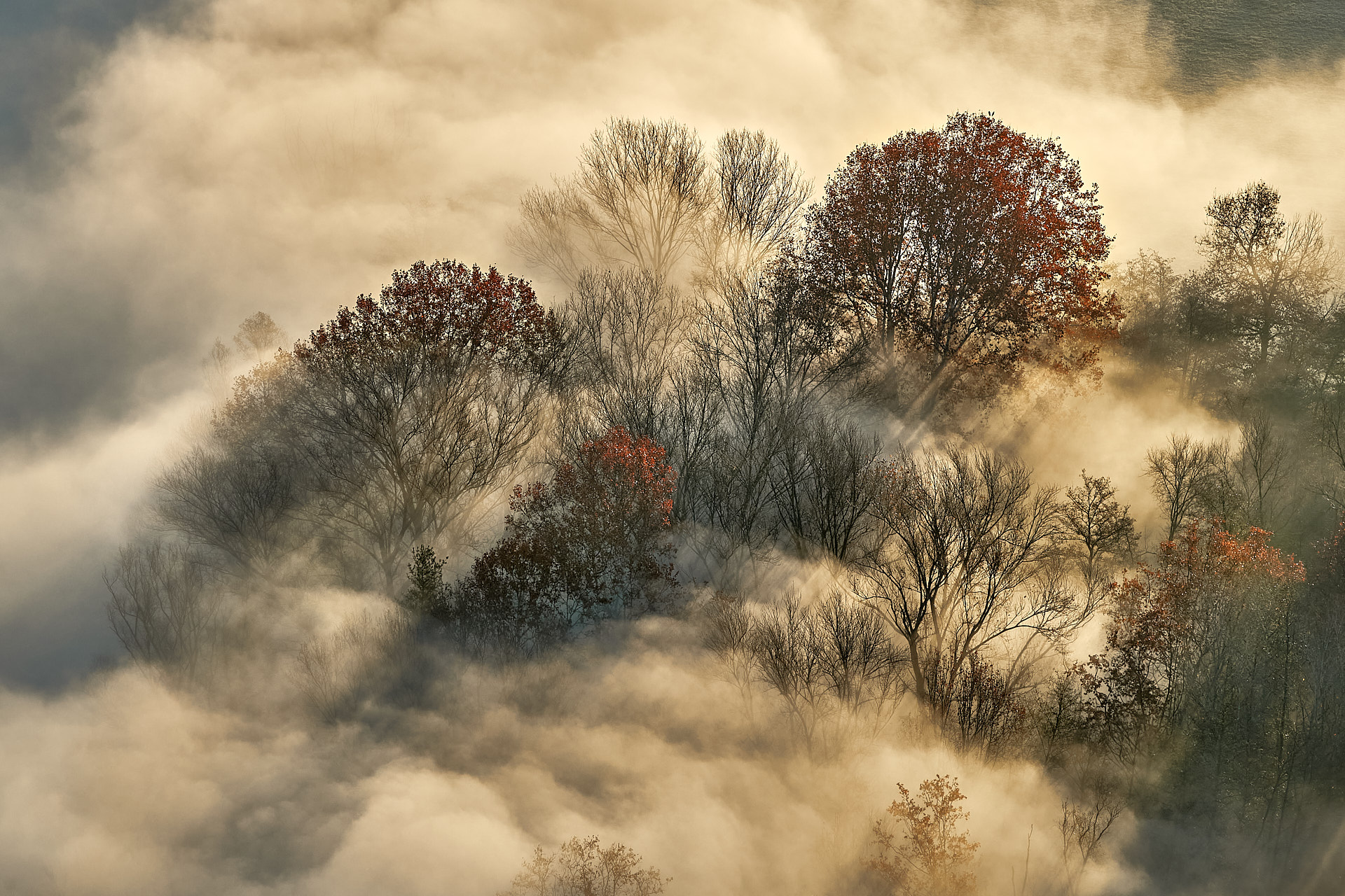 Ultimi colori dell'autunno