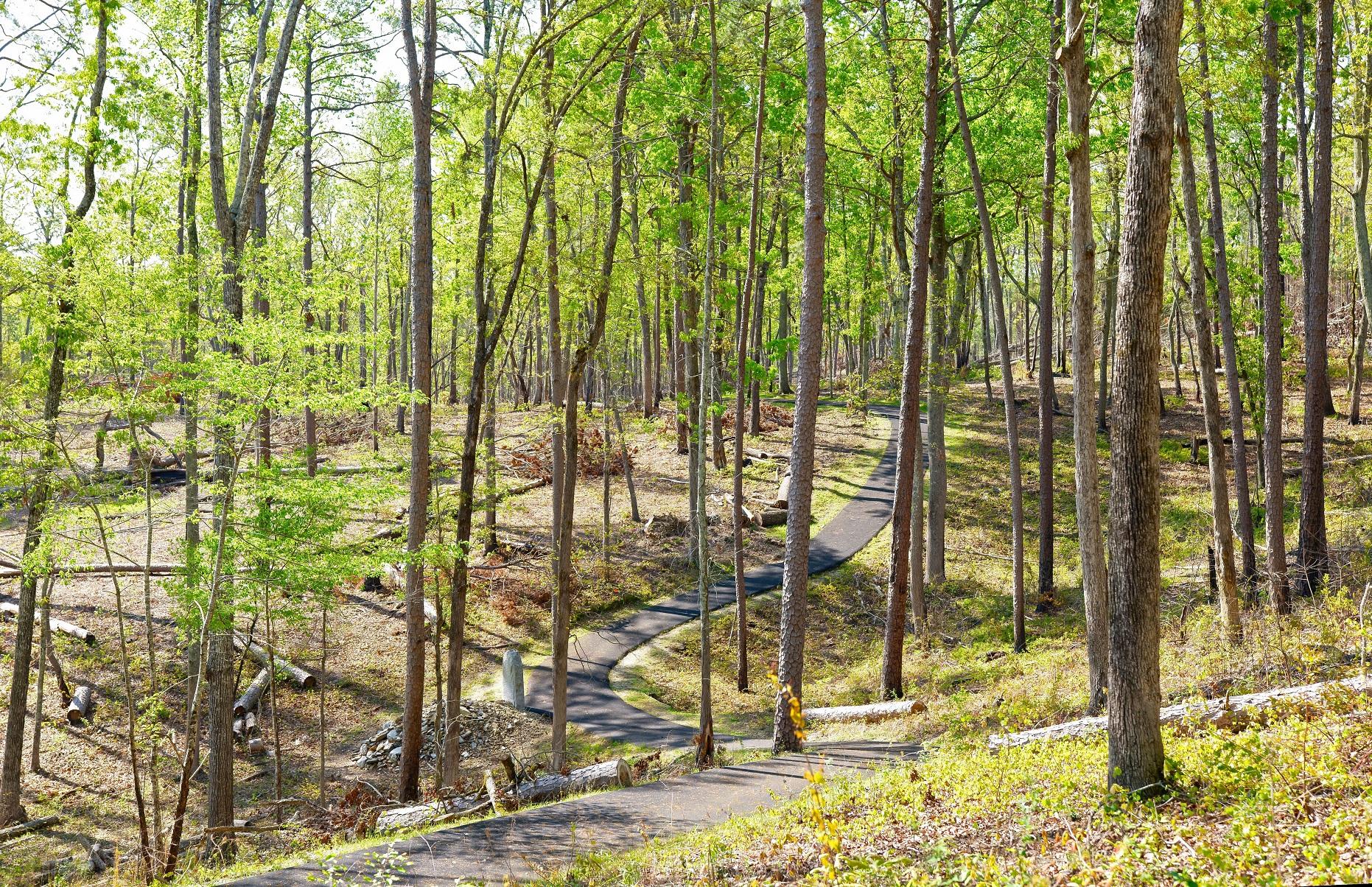 Parco militare nazionale di King Mountain