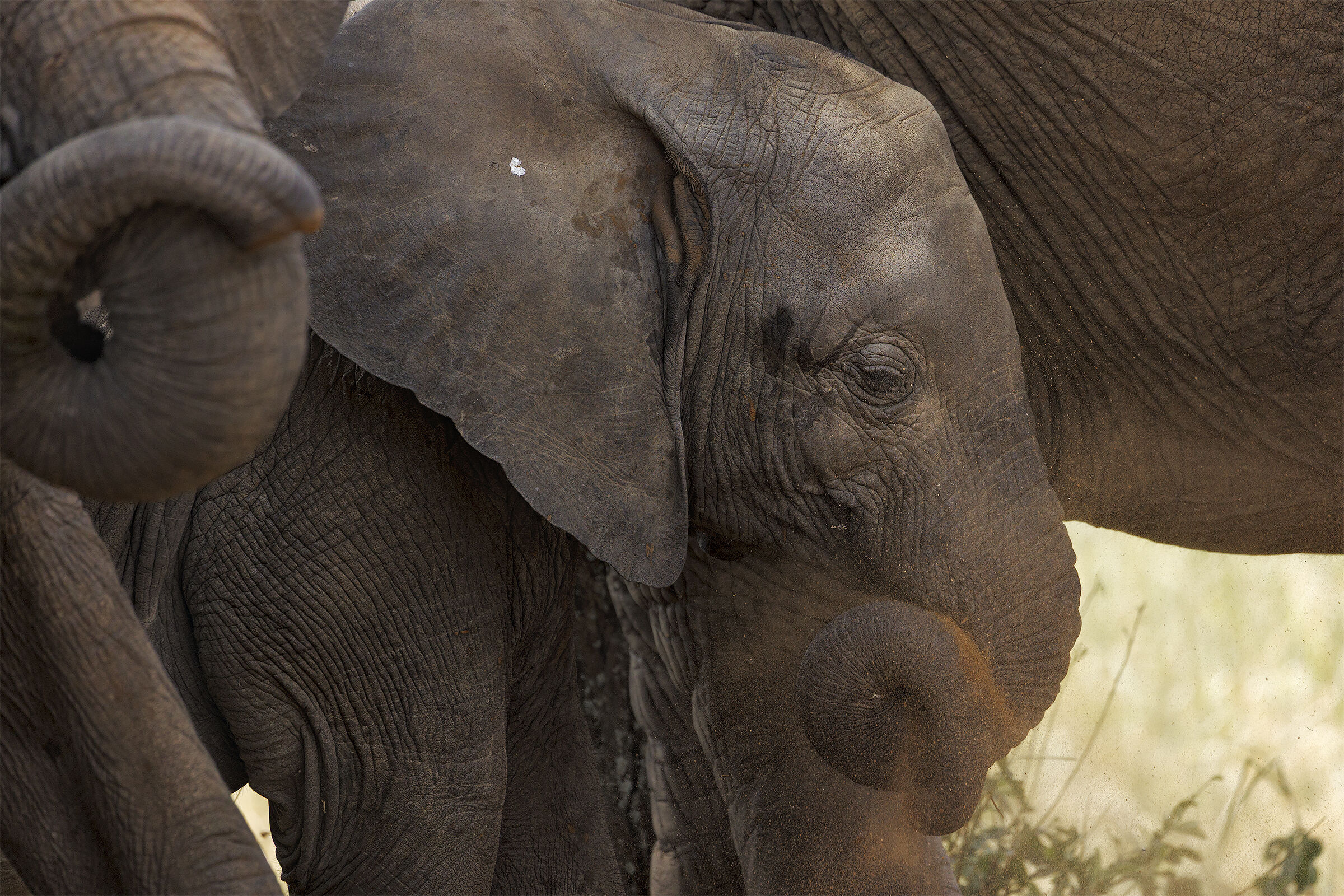 Spirale di terra rossa