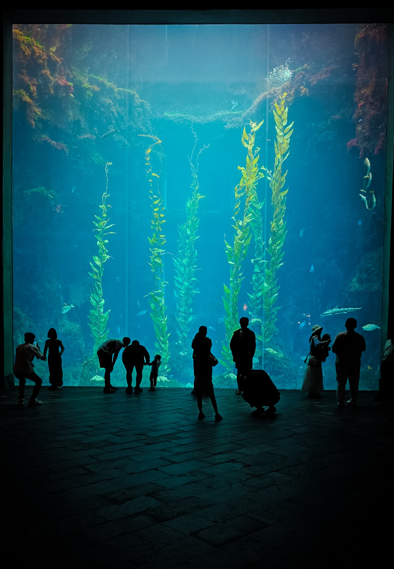 Museo nazionale di oceanografia di Taiwan
