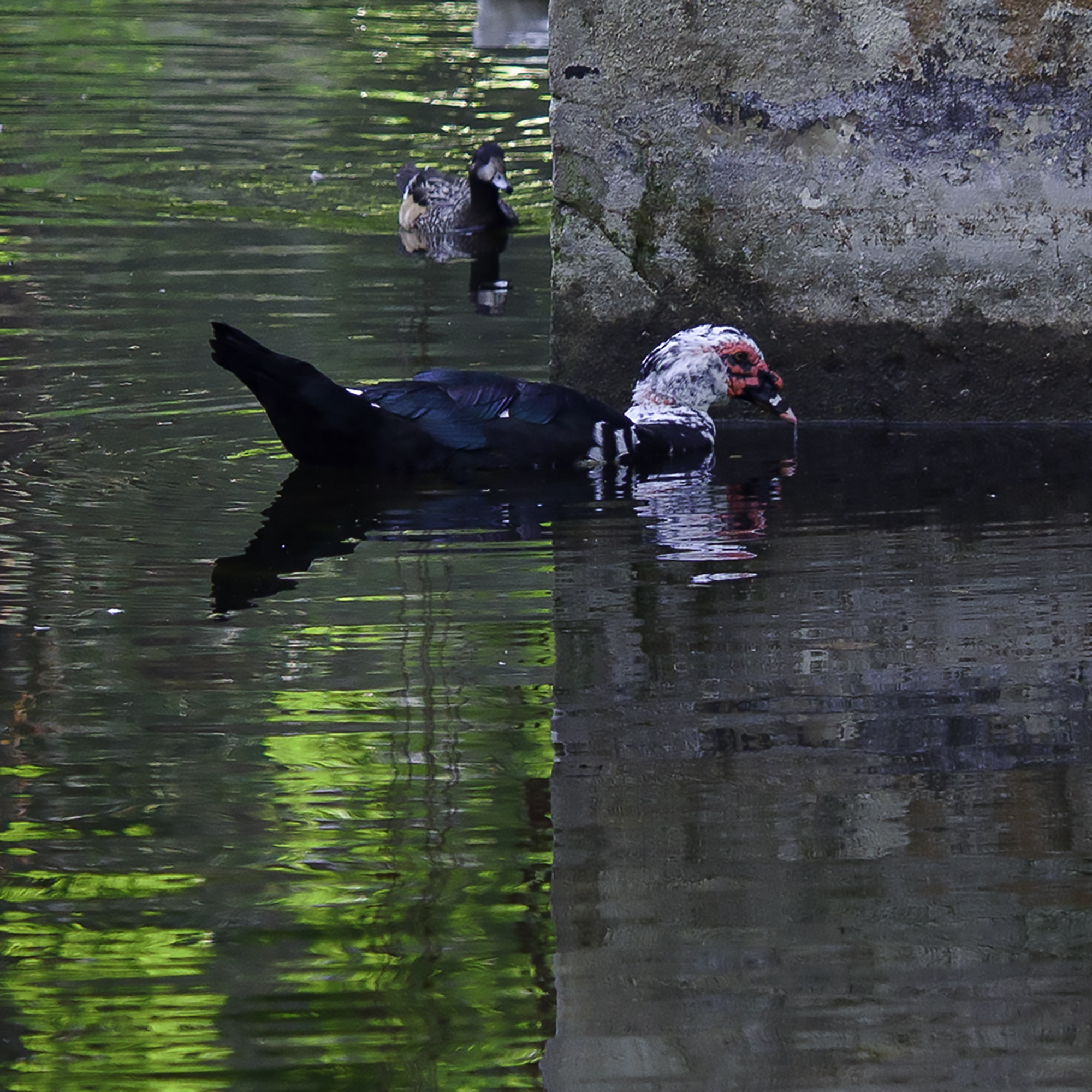 I don't recognize myself anymore...