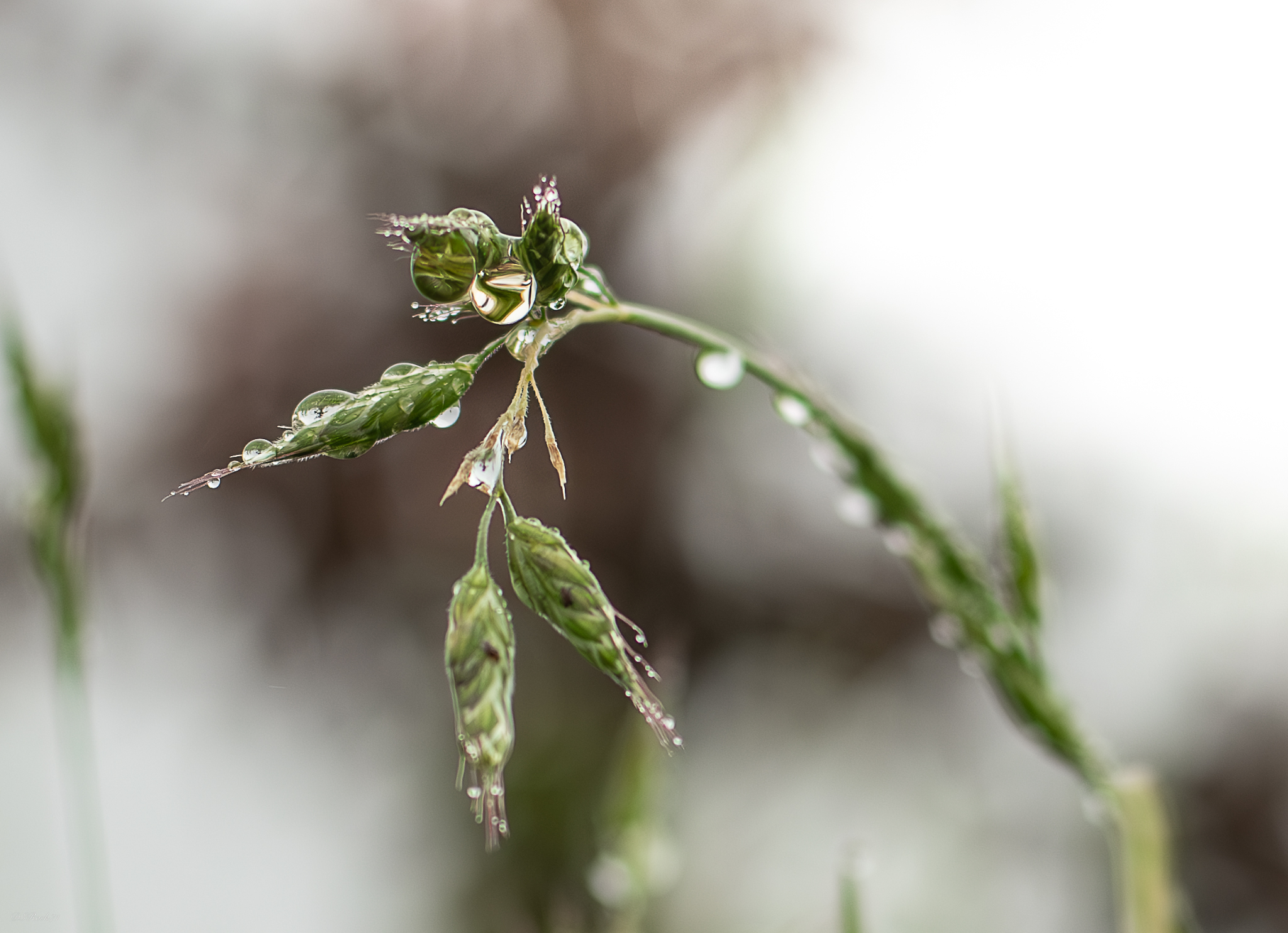 Small worlds in a drop