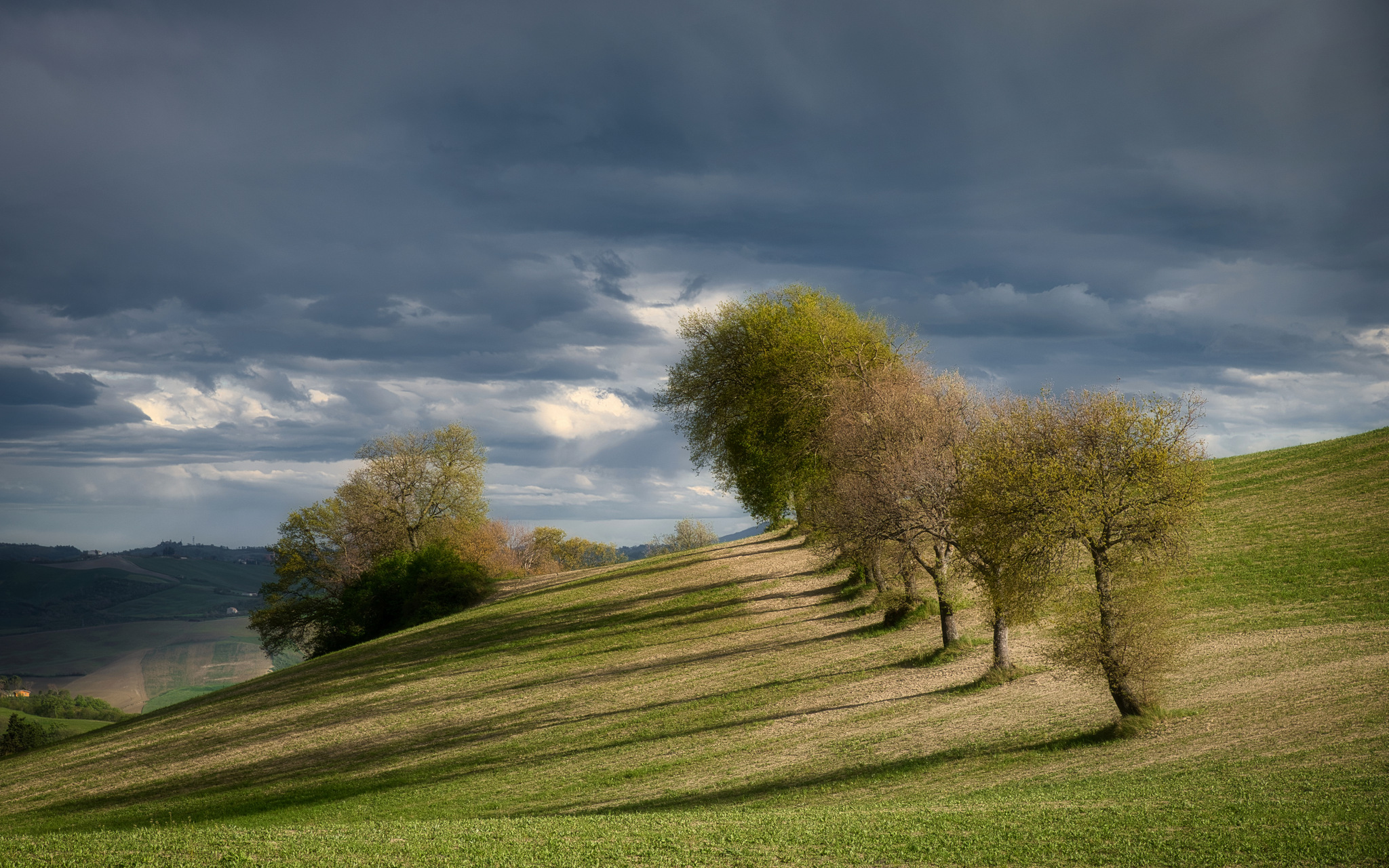 Campagna di San Severino Marche (MC)