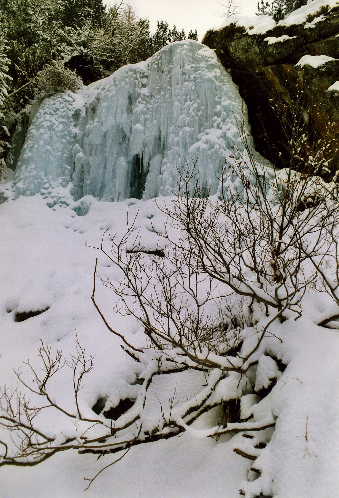 C'era un volta una cascta
