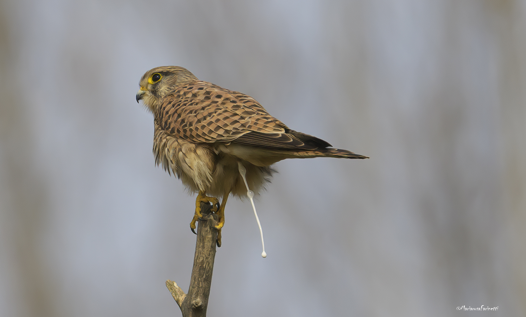 silenzio!!! sto pensando...