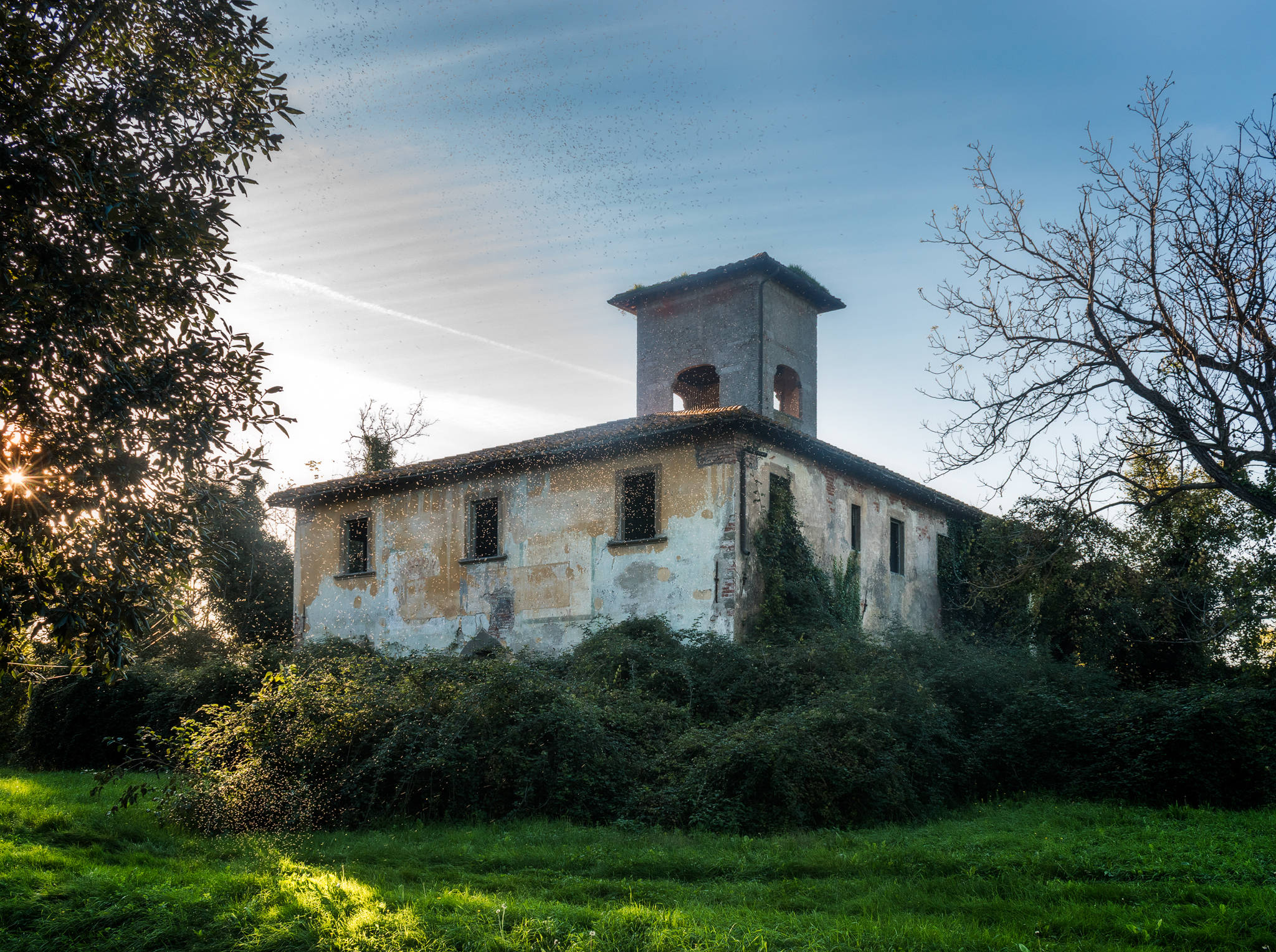 Sunset with attached midges