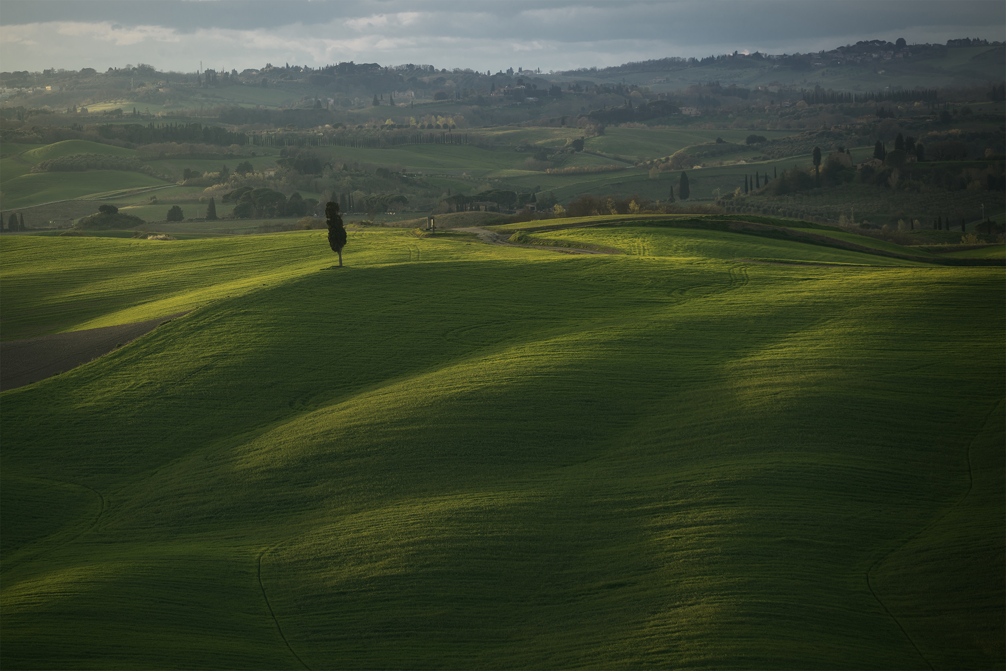 Crete Senesi