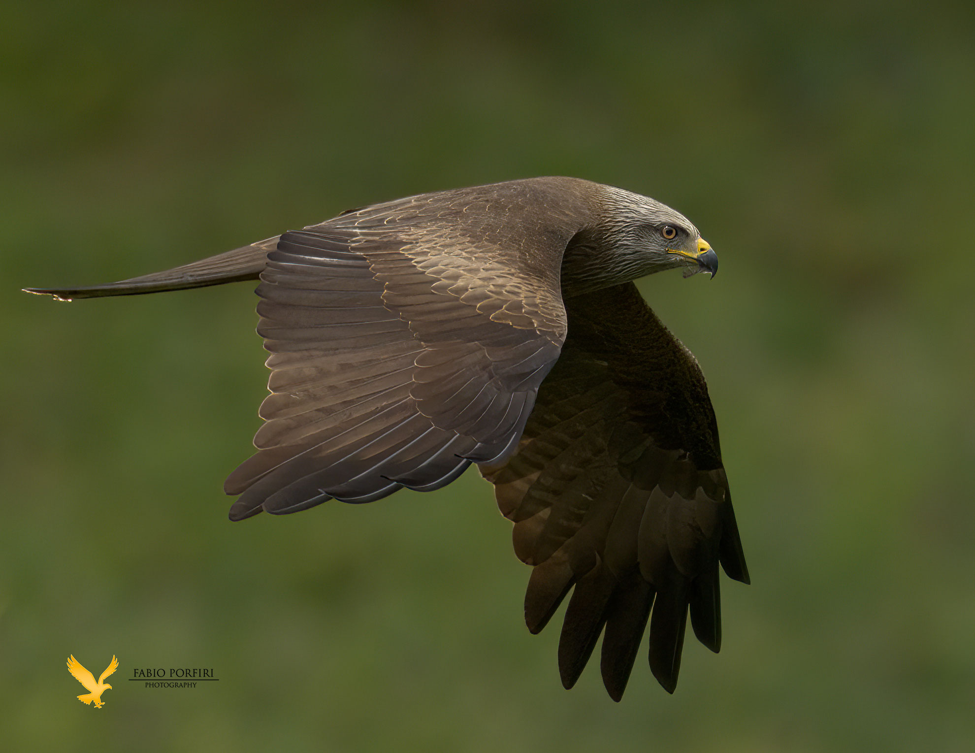 in una giornata nuvolosa