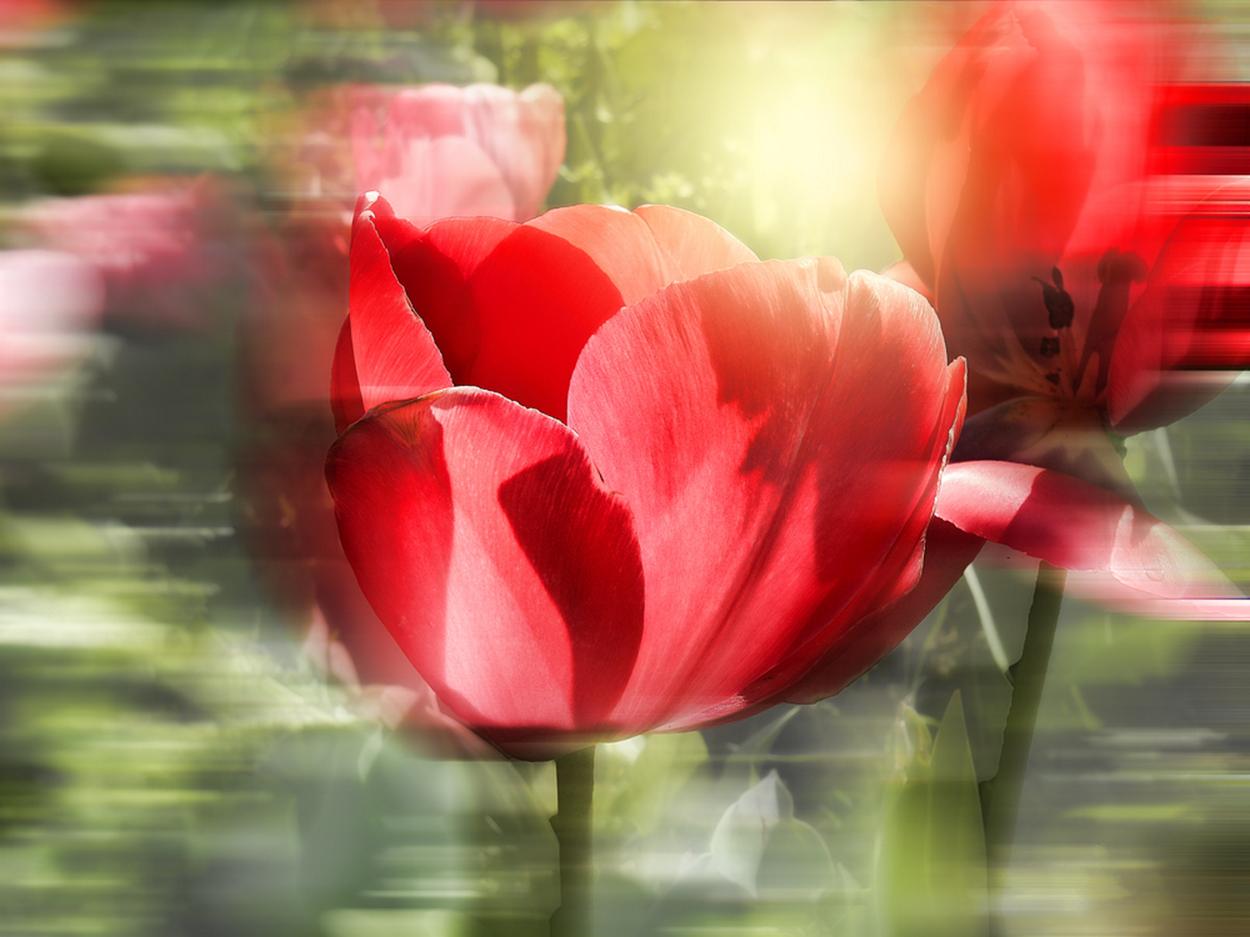 Encounter with the sun....