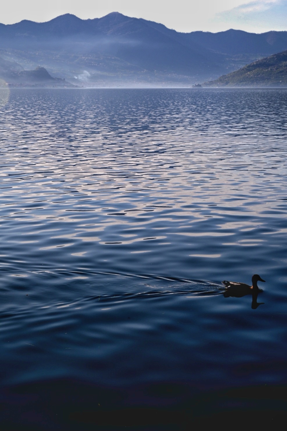 "Walking in the middle of the lake"
