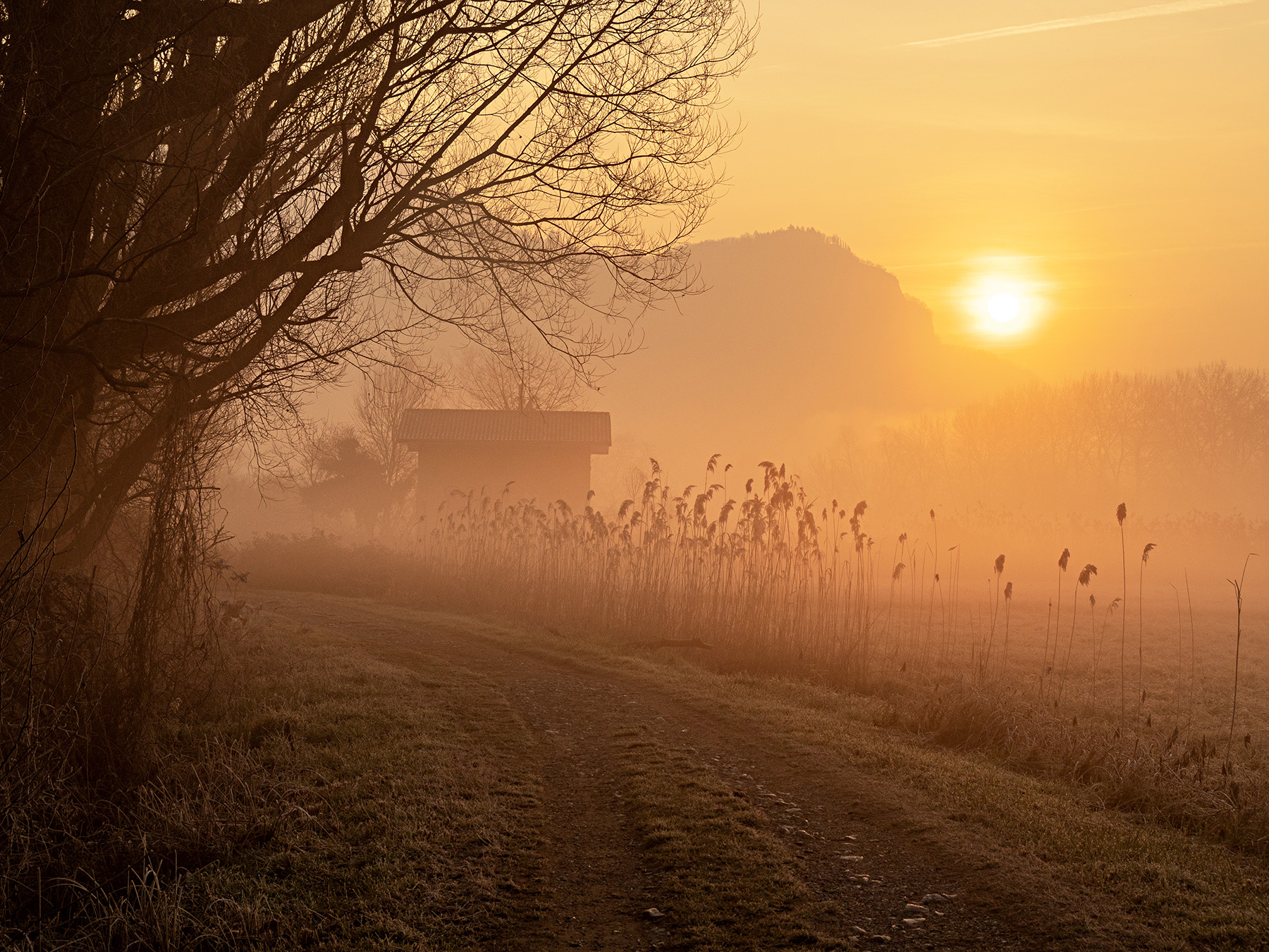 The dawn of a new day