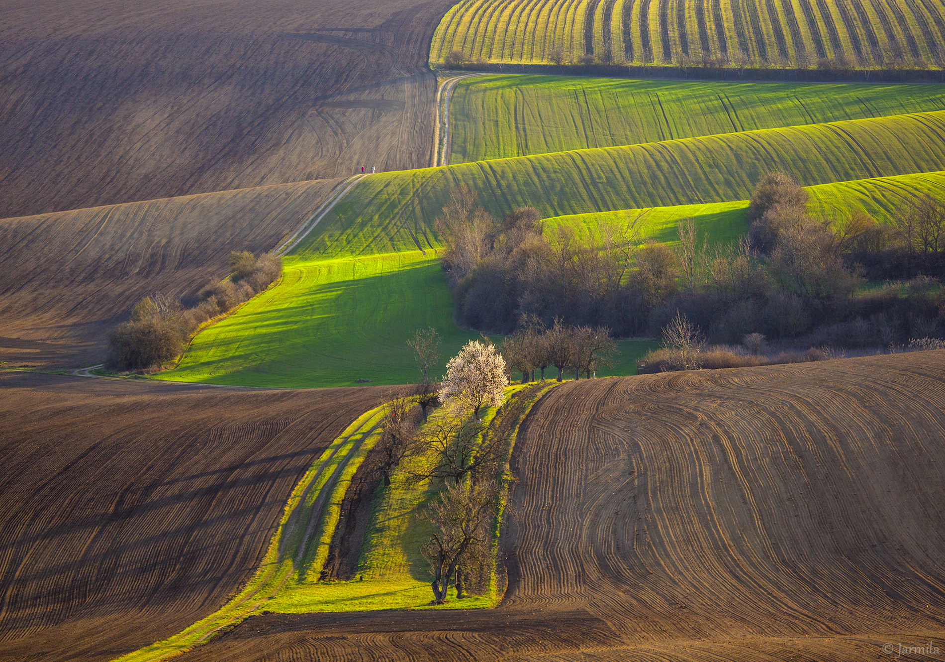 Happy Easter and Easter Monday