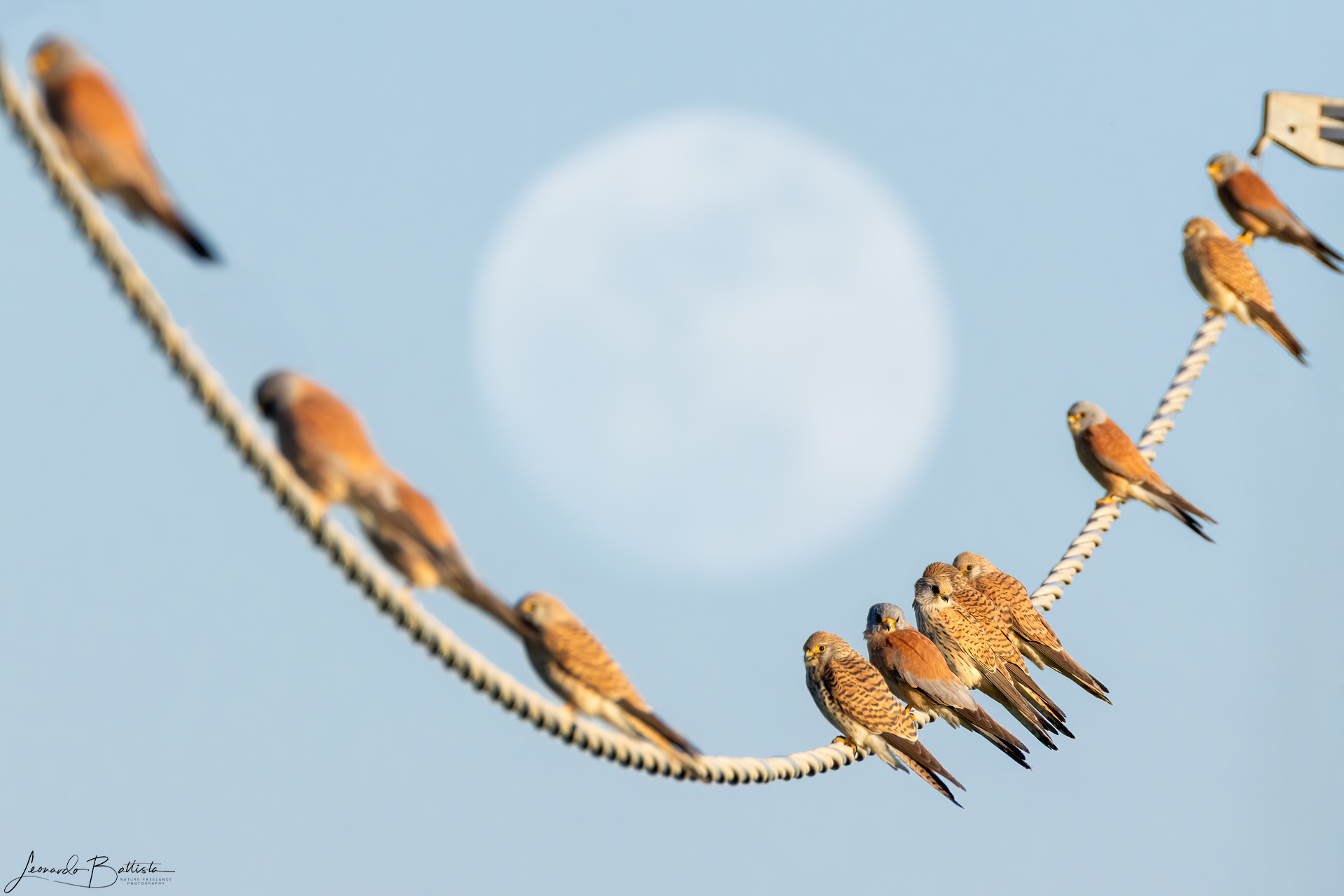 Sguardo al tramonto sotto il cielo lunare