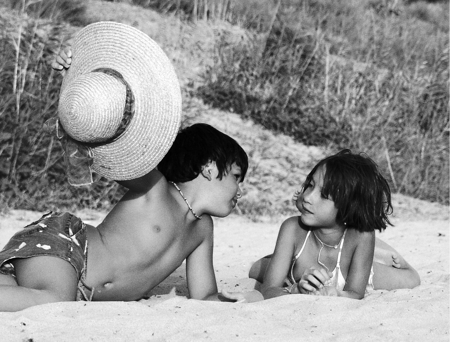 Prove di corteggiamento