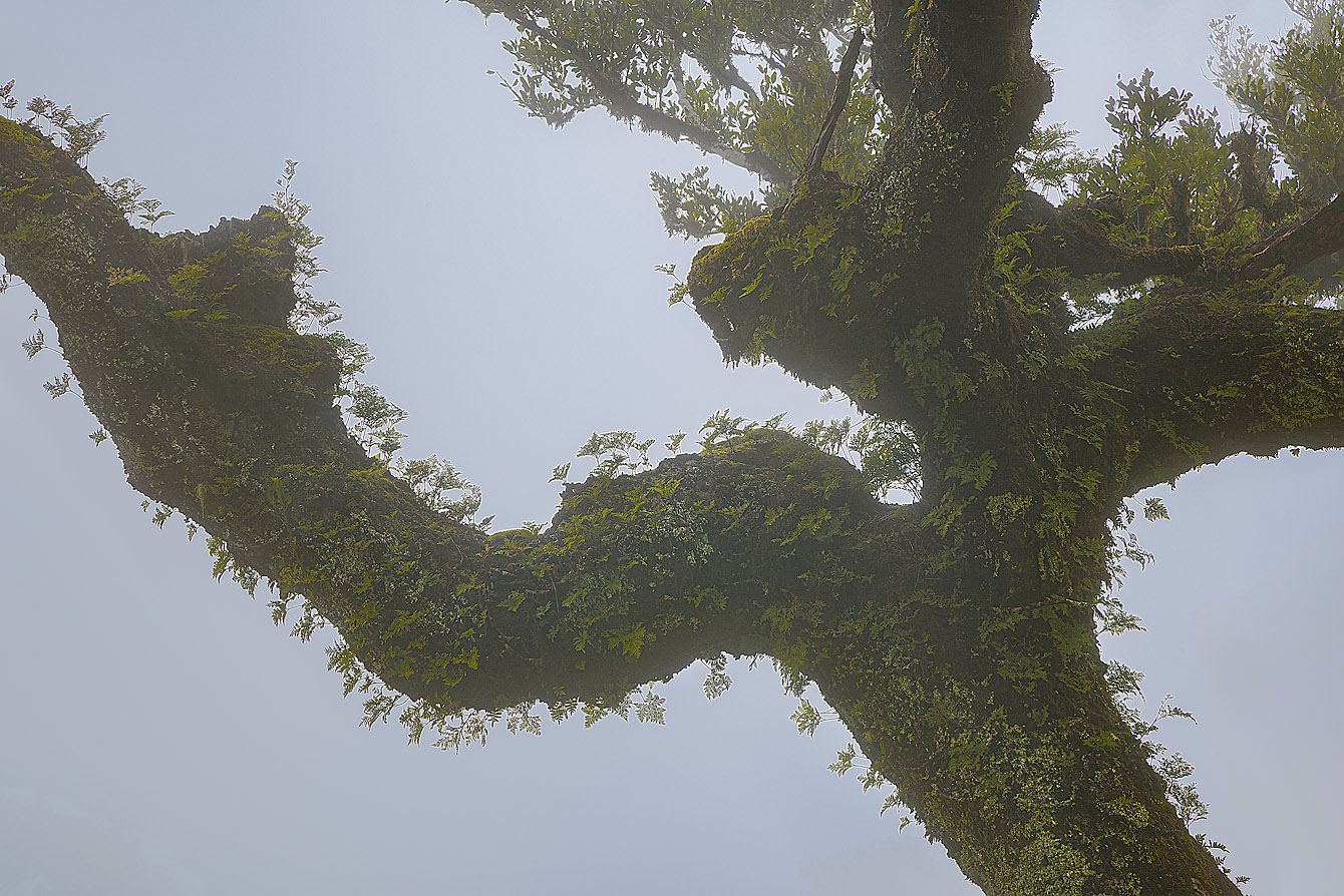 Una convivenza che viene da lontano