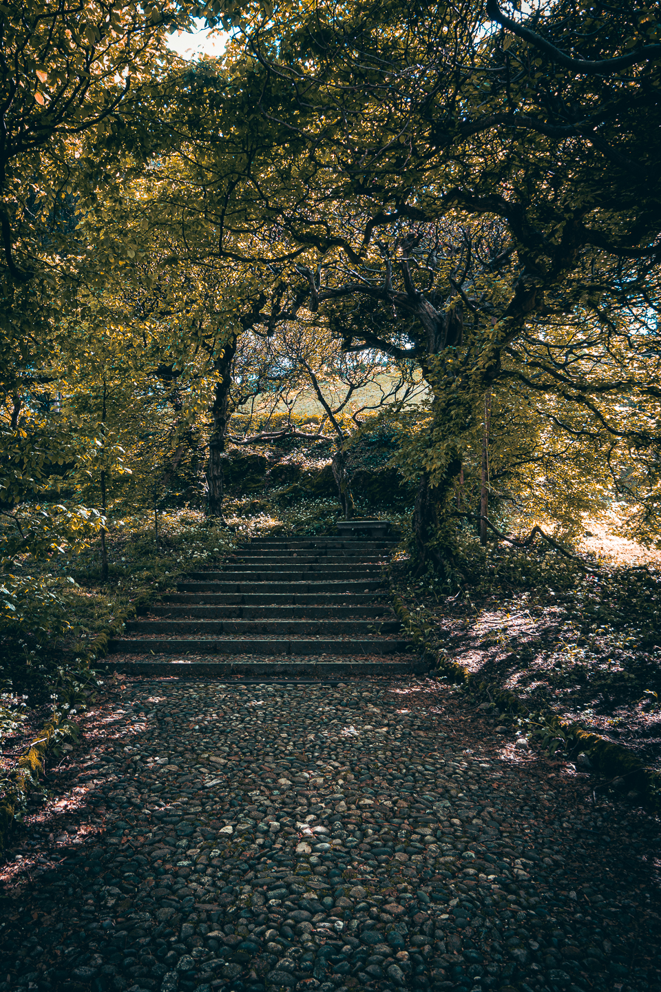 Test ZV-E10 II + Sony 10-18 F4 OSS