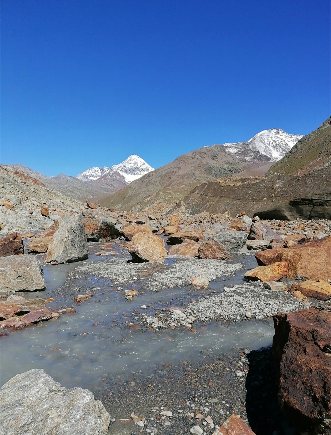 The Gran Zebrú from the Forni glacier