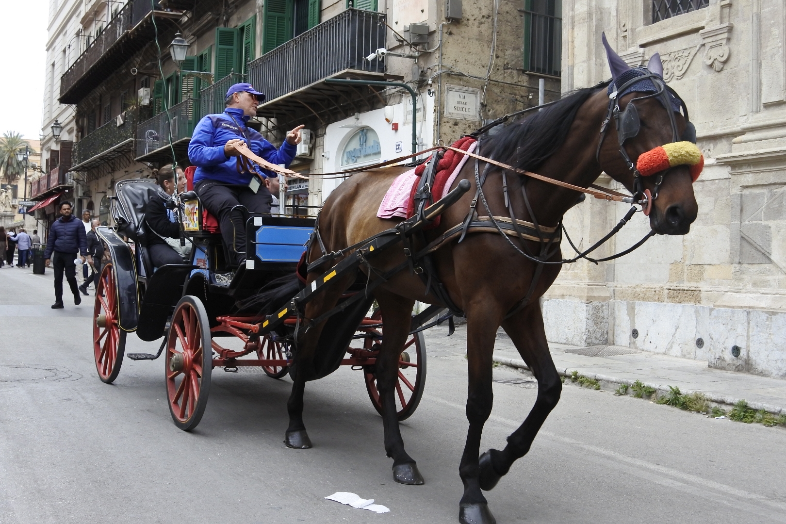 City Tour by carriage