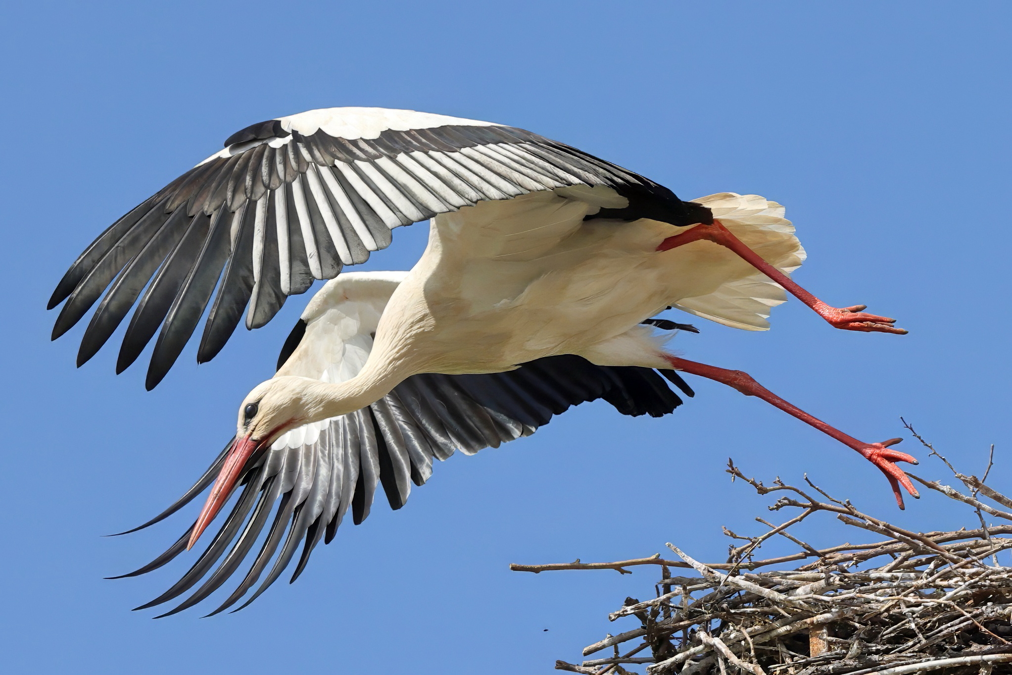 Lo stacco della Cicogna