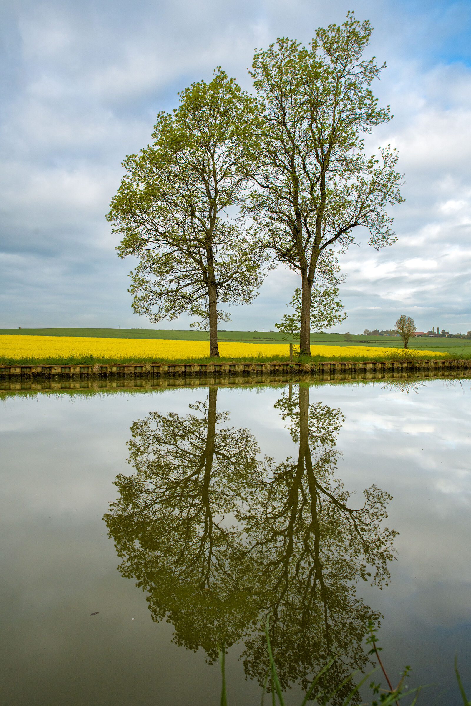 Paesaggio bucolico 2