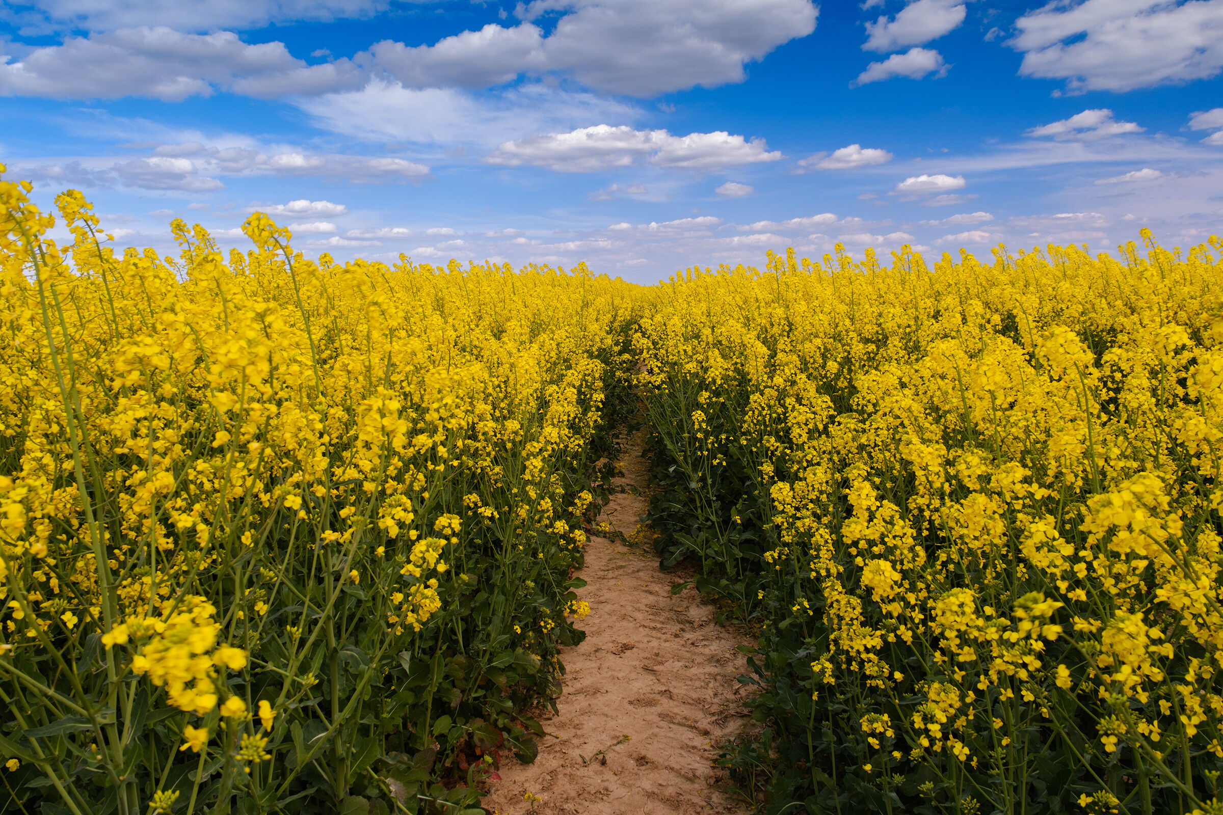 Je me suis perdu.....