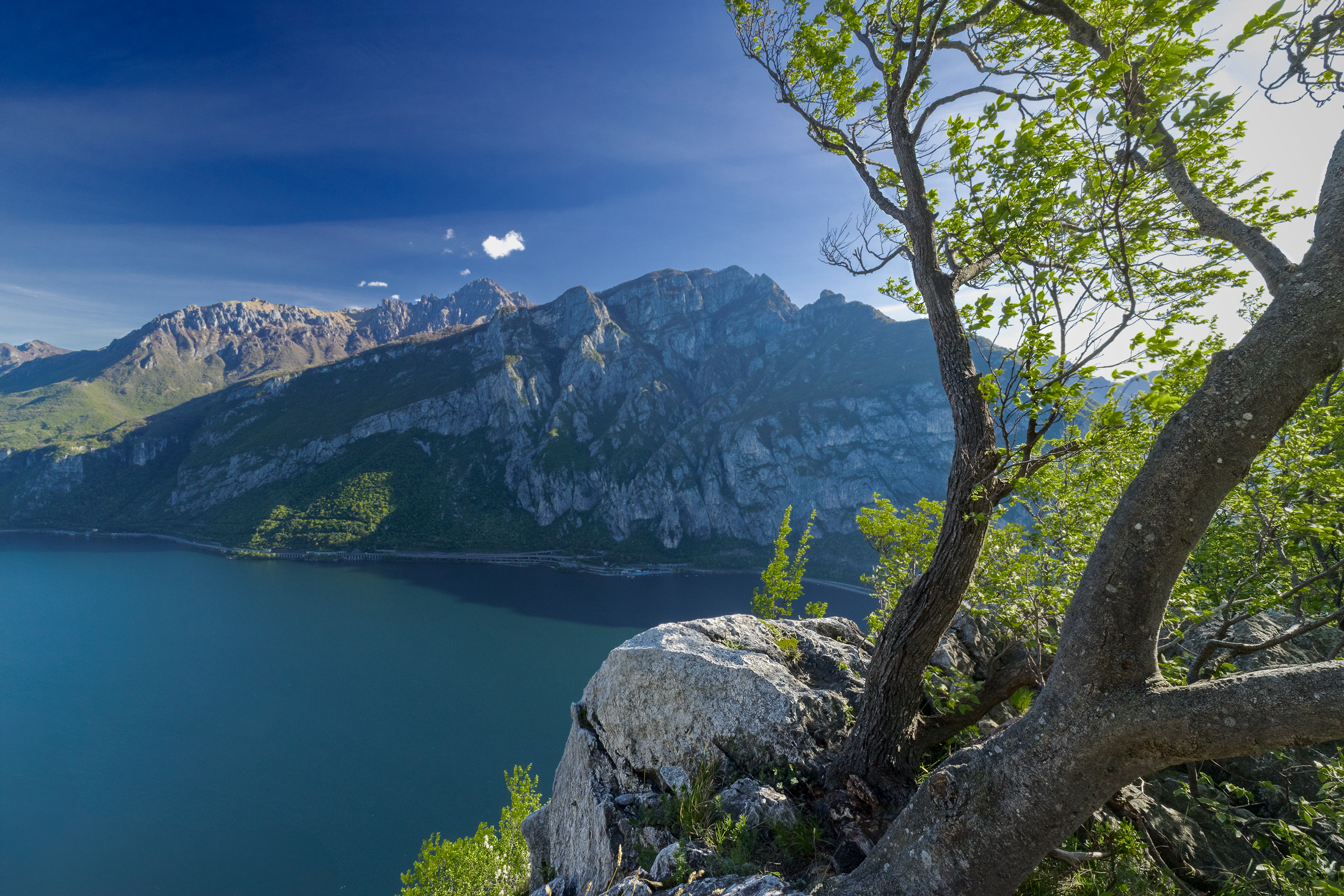 Uno sguardo sul lago