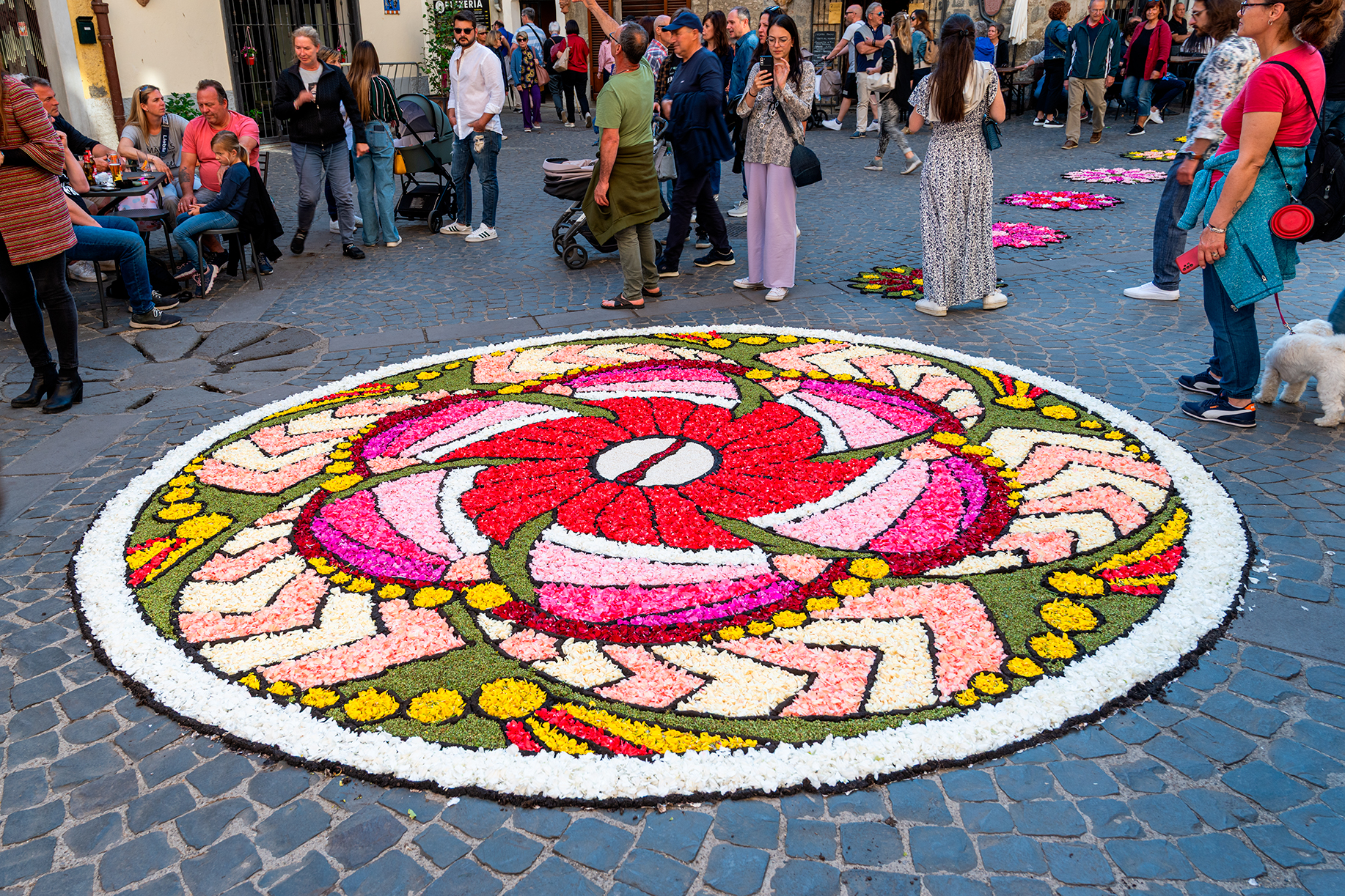 Bolsena, the 2024 flower festival