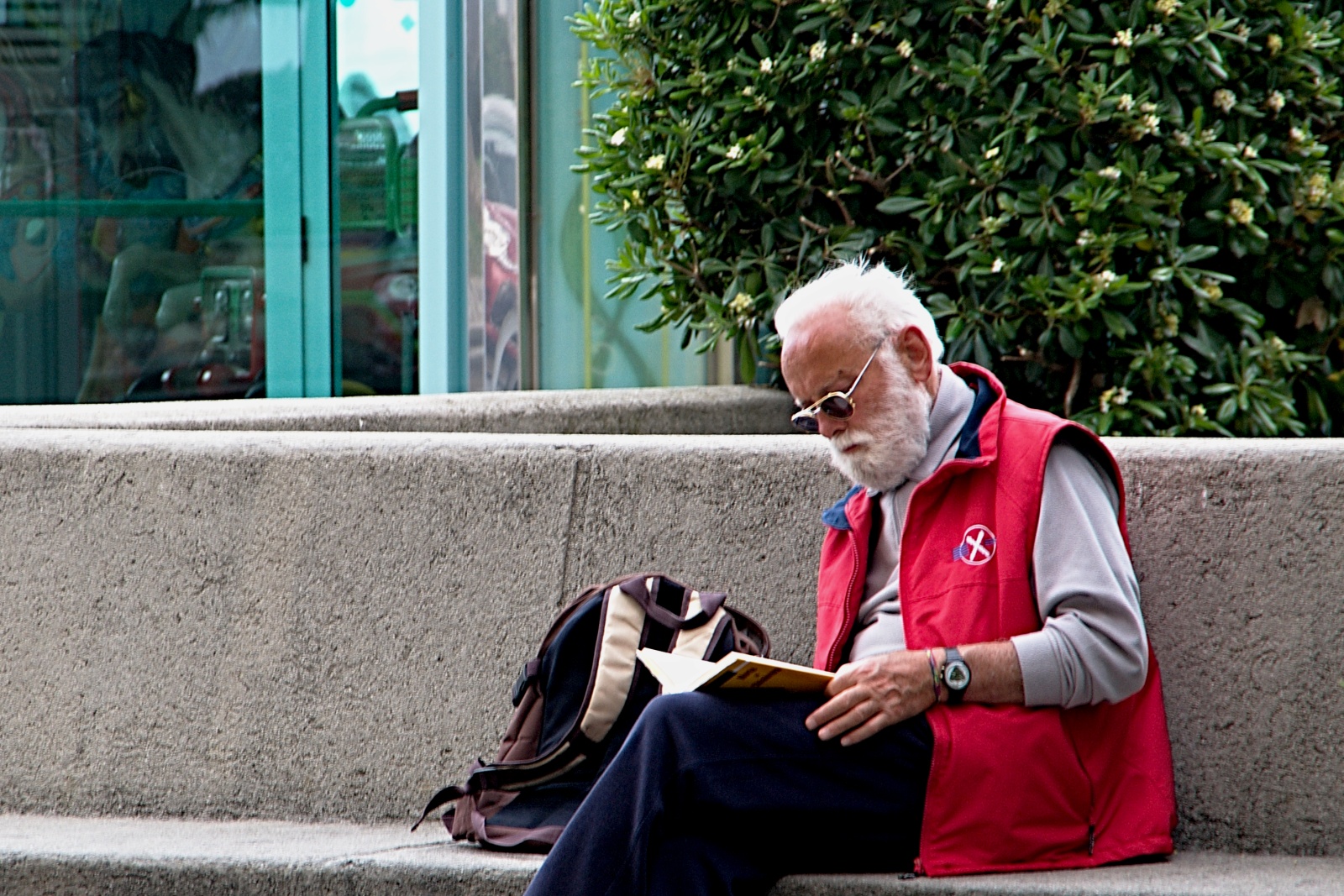 The book and the writer...