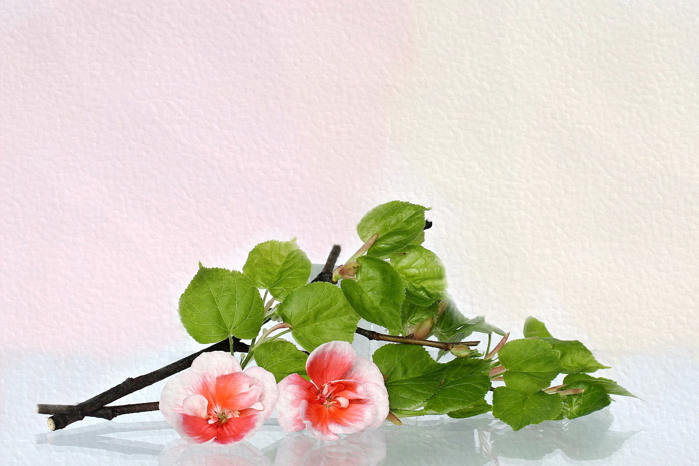 still life with flowers