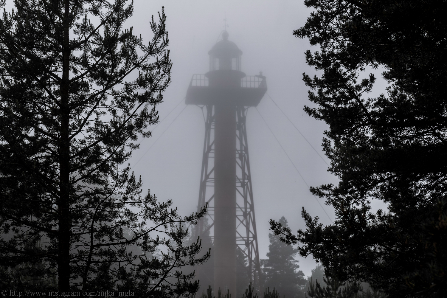 Nelle profondità della nebbia