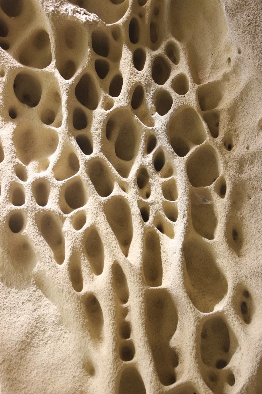 Sandstone tafoni