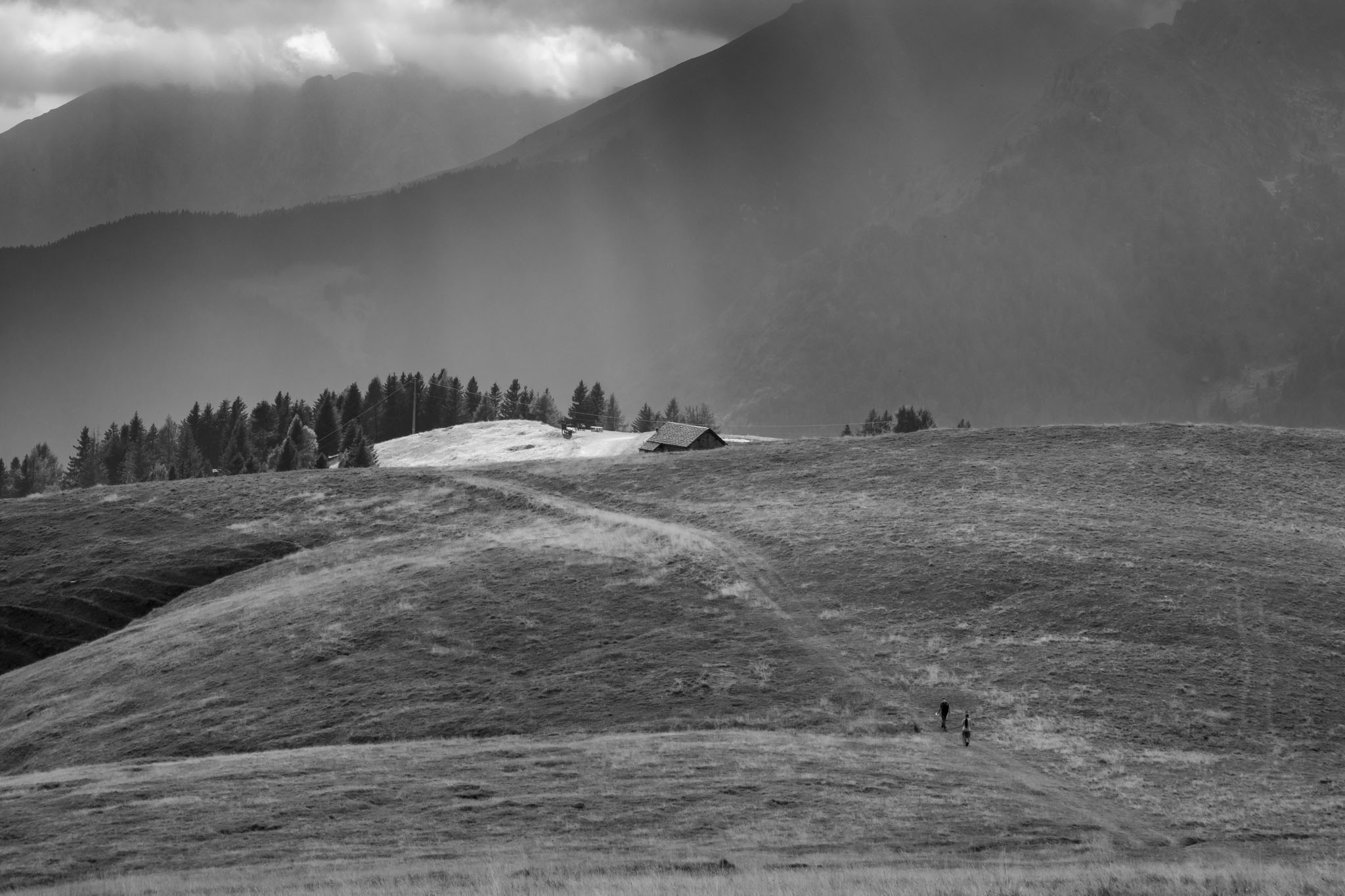 Piani del Monte Avaro