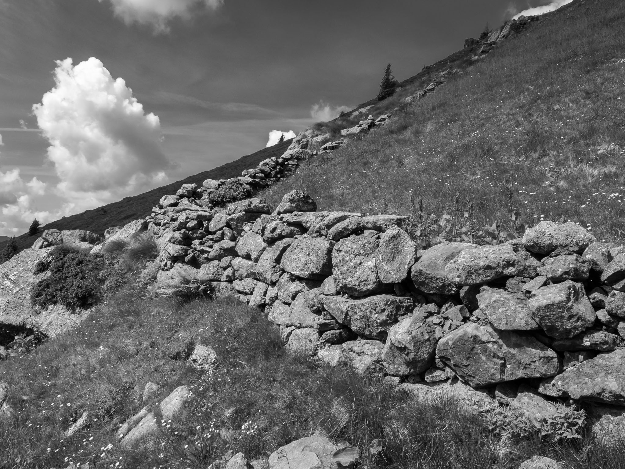 Piani del Monte Avaro
