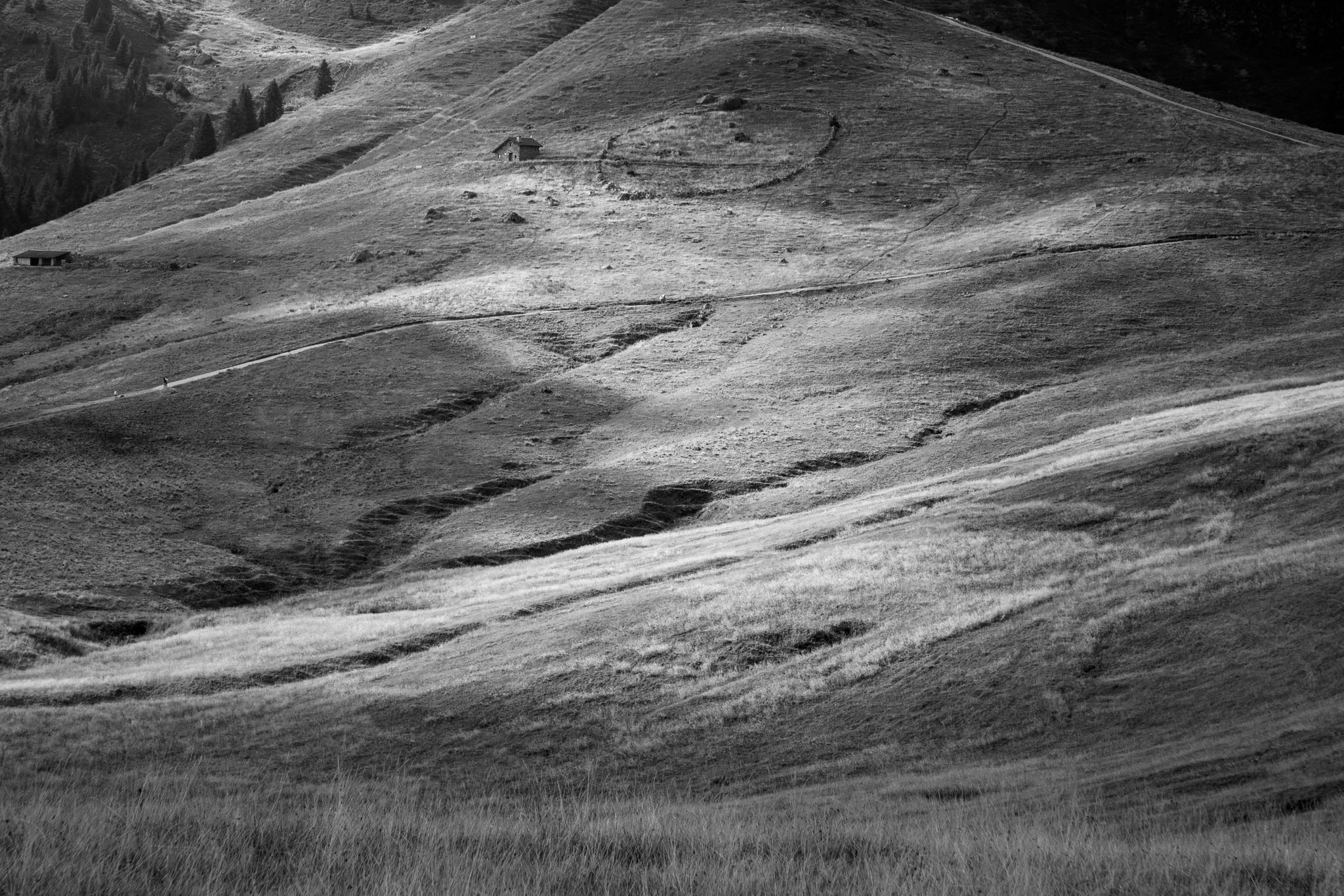 Piani del Monte Avaro