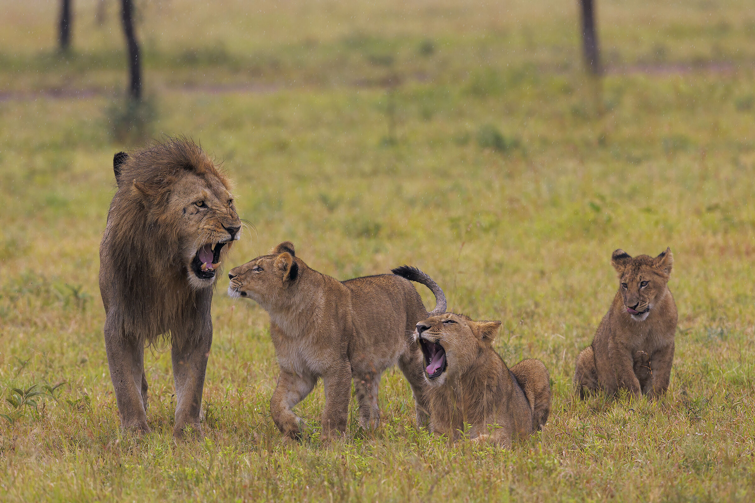 Un giorno sarò forte come te!