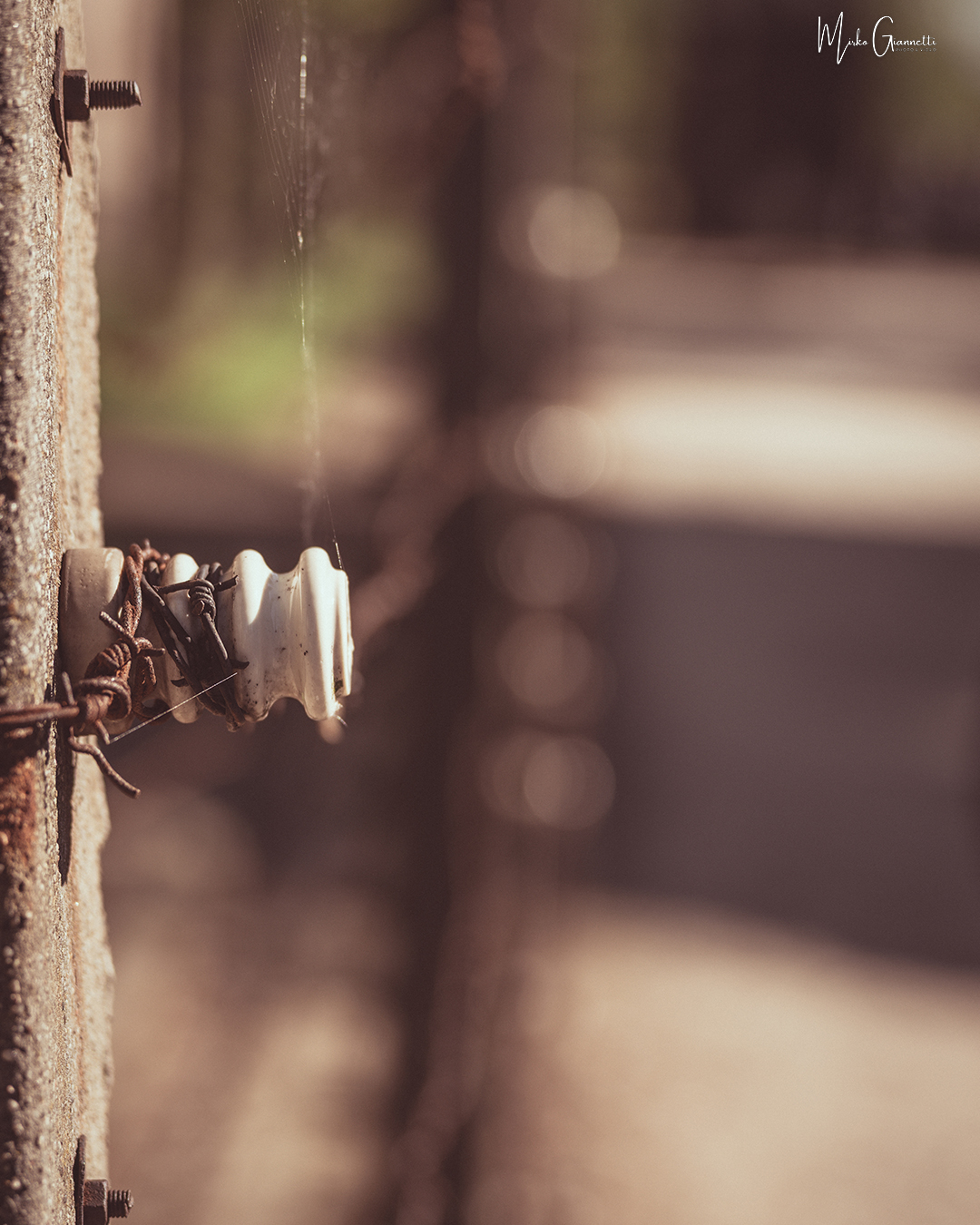 Barbed wire Auschwitz