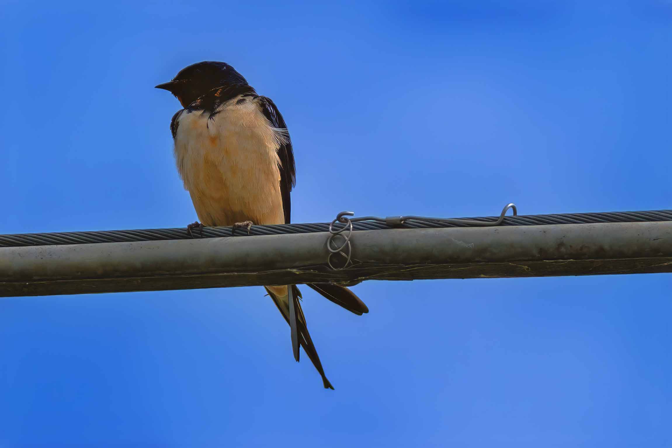 In the blue painted blue