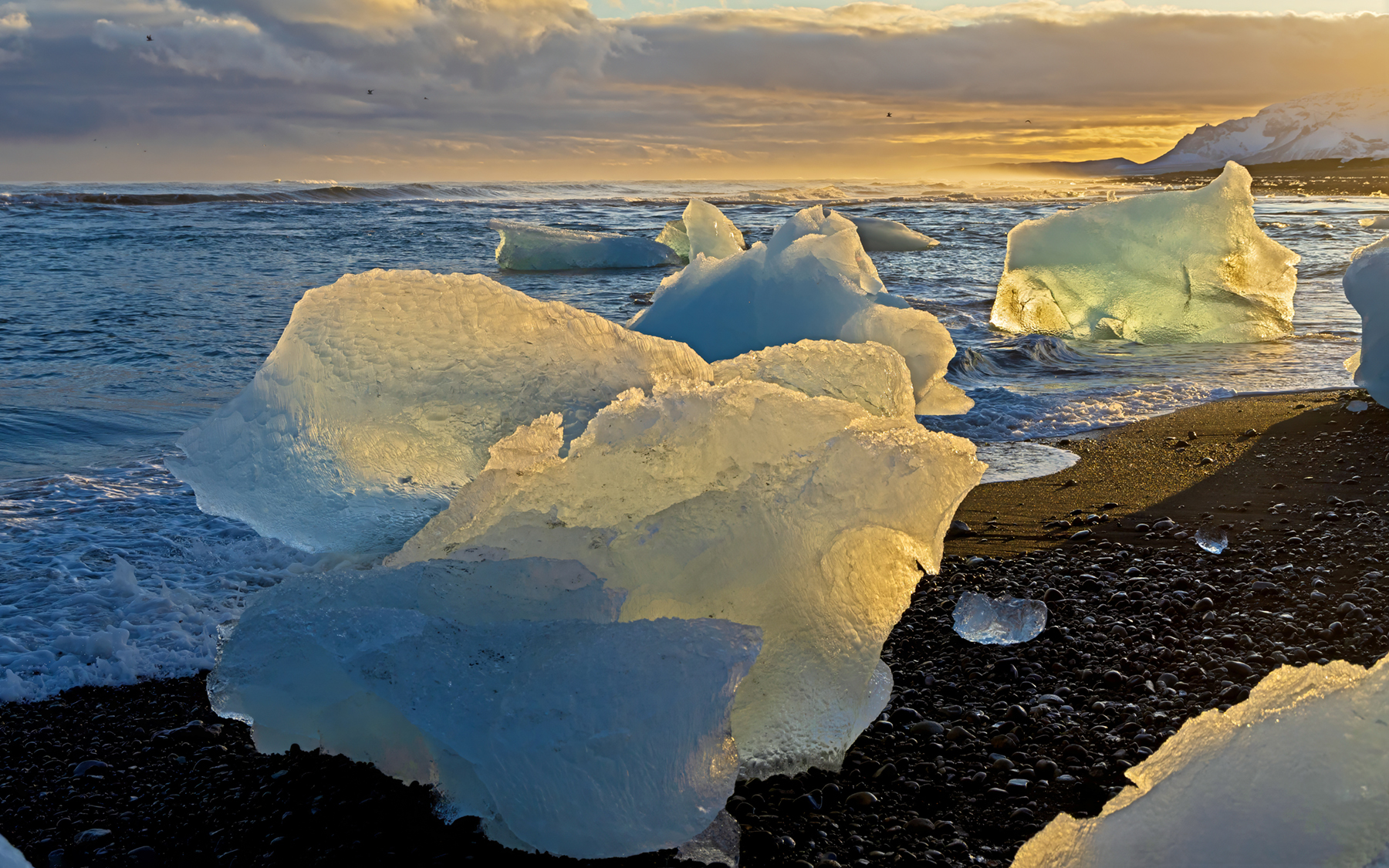 the diamonds of the beach Iceland