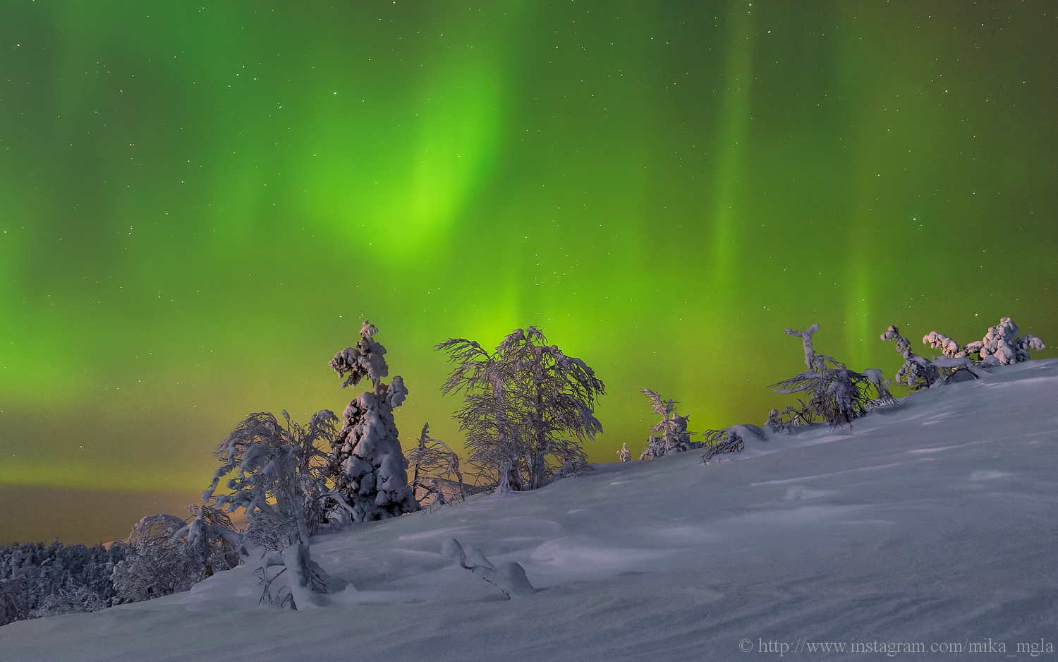 Principessa del Nord