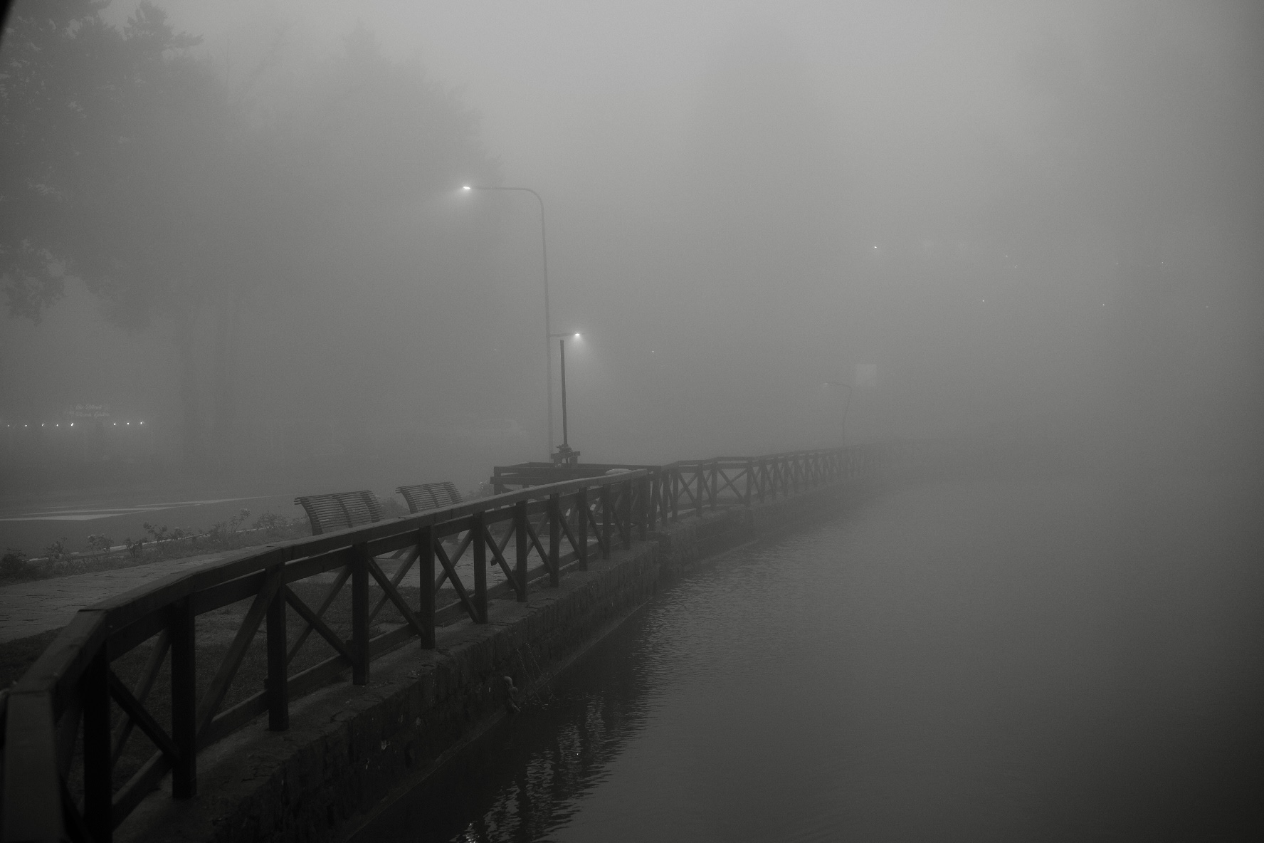 Untitled Photo
